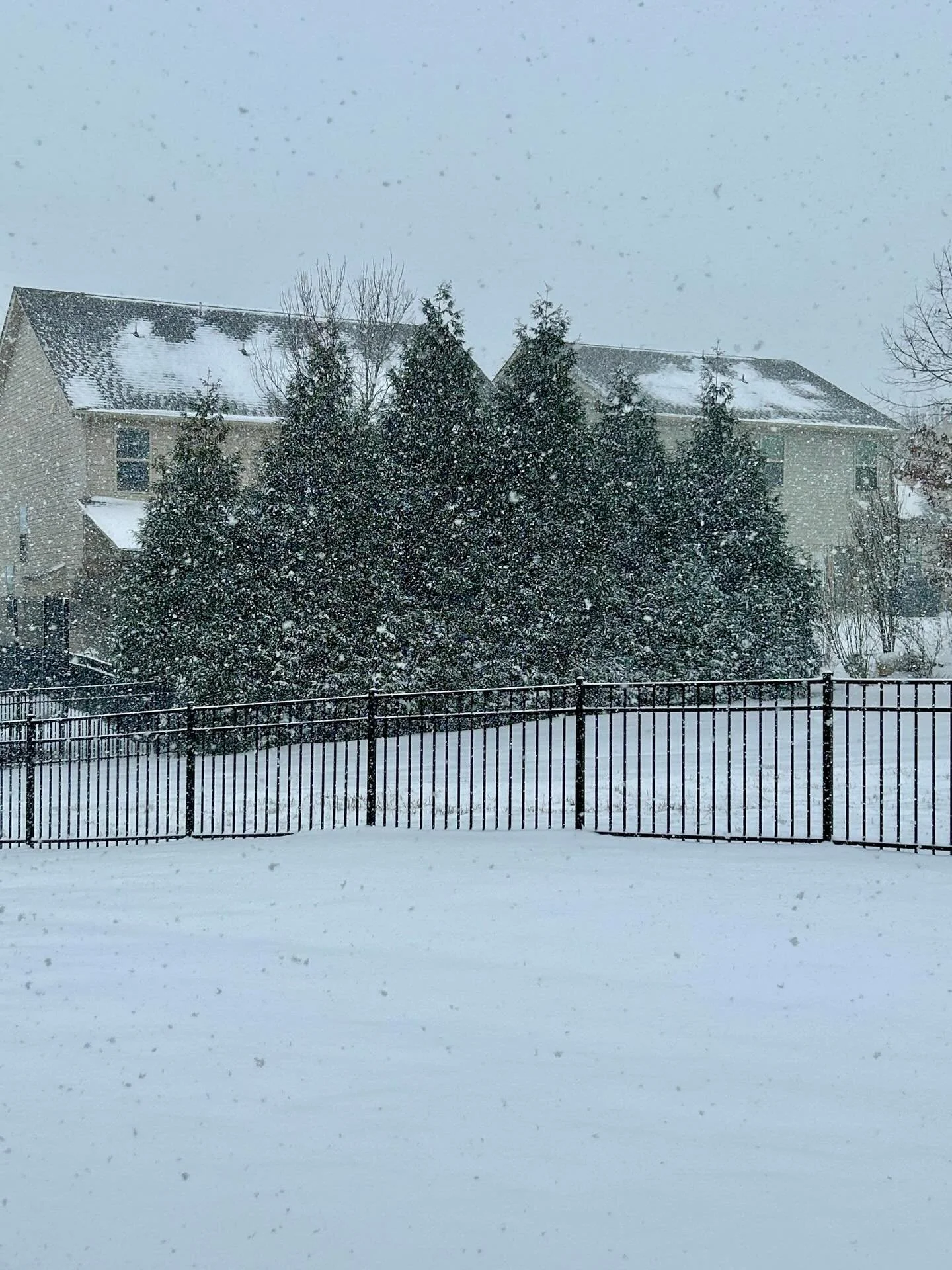 #snoMOG so far at my house. Still coming down. Been over a decade since we&rsquo;ve seen this much. Very pretty and cold, but warm inside. #onedayatatime