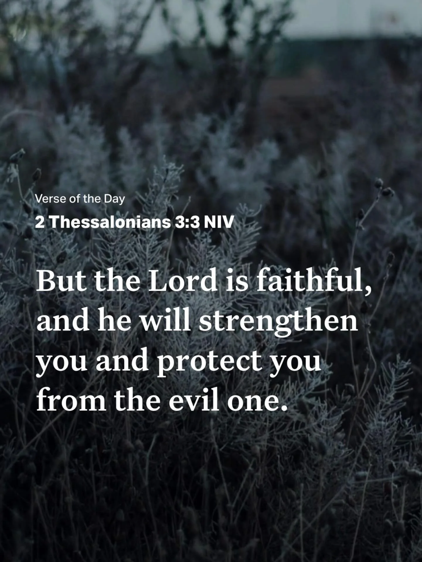 ❤️ The Relentless Heartbeat of the Spirit&hellip; ✝️
.
.
.
Rest in the faithfulness of God.

He is your provider, 
your protector, 
and He is the relentless heartbeat within you 
that has never and even better, 
will never leave you.

🔹He loves you 