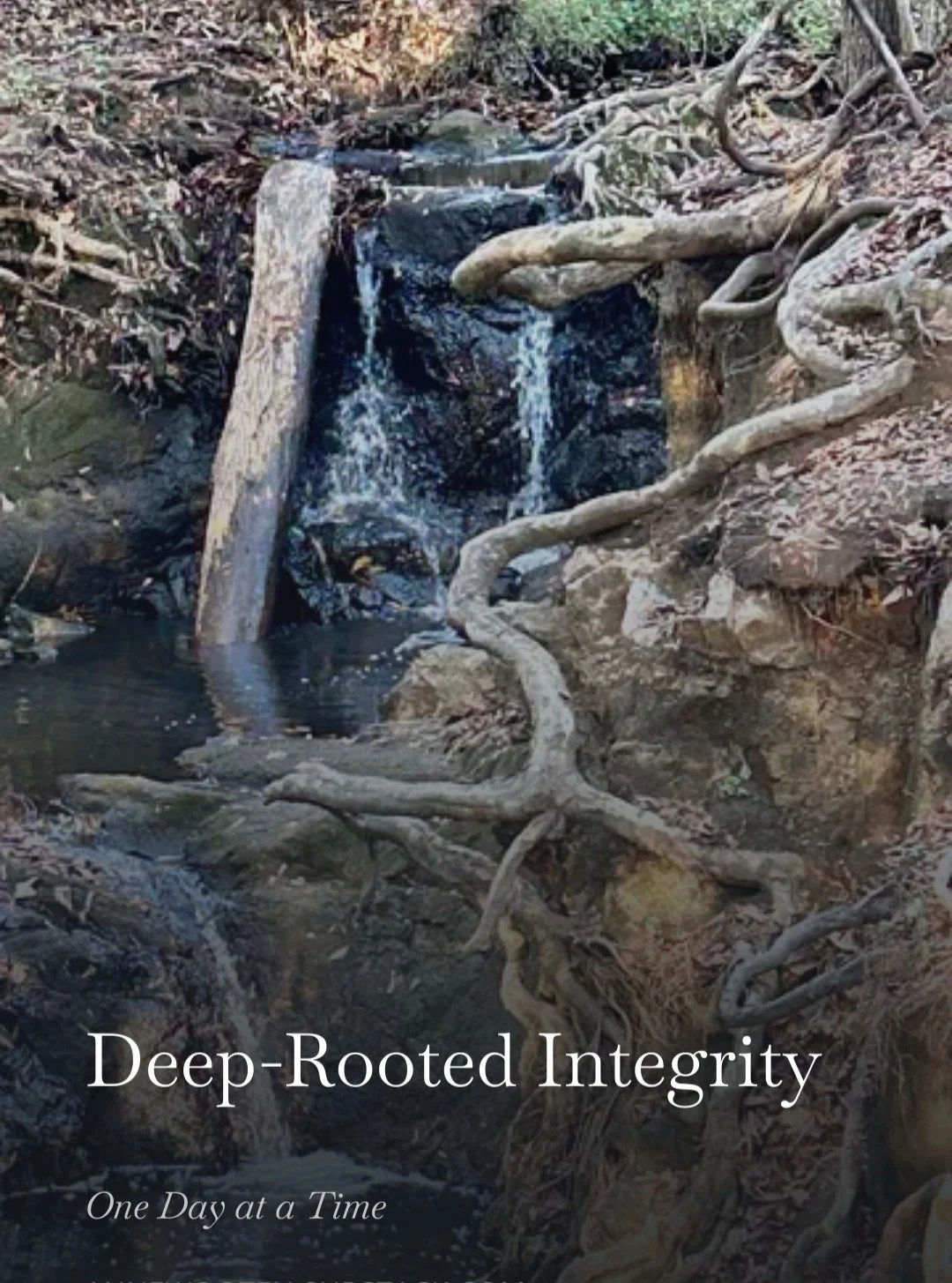 A quiet reflection on deep-rooted integrity and how what we continually focus on eventually shapes what the heart learns to trust and obey. 

In a world full of noise and distraction, staying rooted in God&rsquo;s truth matters more than ever. 🤍

Co