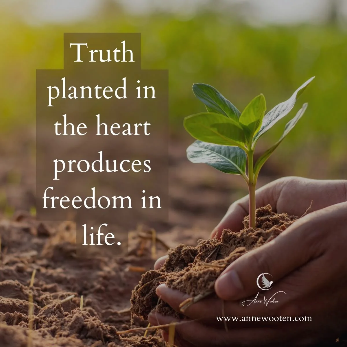 ✝️ Breathe in truth. Breathe out freedom. 
.
.
What you breathe in as truth, you breathe out in life.

God&rsquo;s truth renews the mind and transforms the life.

📖 &ldquo;You study the Scriptures diligently because you think that in them you have e
