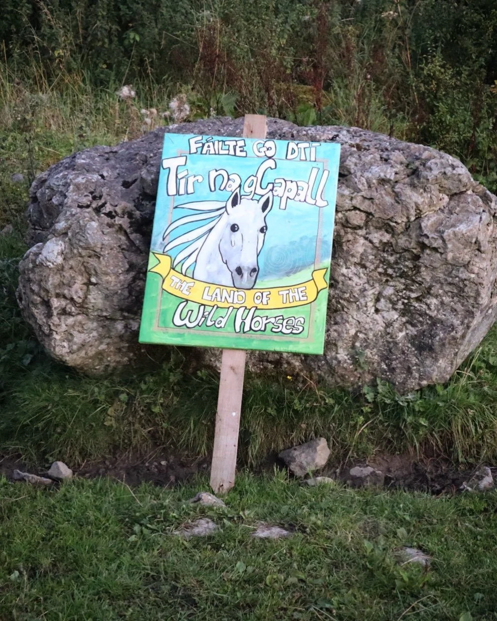 Save the date! May 1-3 2026 💚 

#horses #yearofthefirehorse #t&iacute;rnacapaill #gaeilge #&Eacute;ire