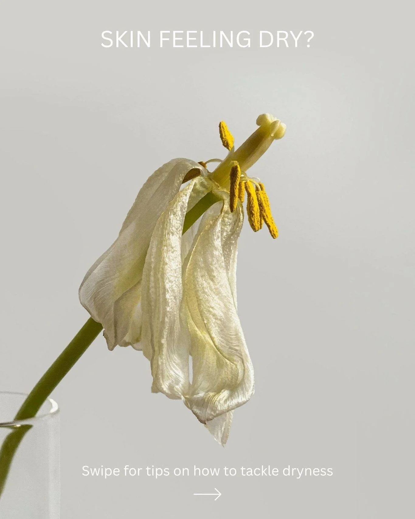 Struggling with dry skin? 
Hydrate, protect, and repair &mdash; every day!
✨ Use a serum rich in hyaluronic acid + ceramides (we love Dr. Aspect Penta Hydration)
✨ Avoid over-cleansing and keep showers short + lukewarm
✨ Layer your moisture + finish 