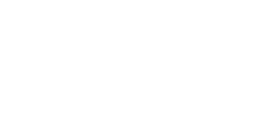 COQFIGHTER