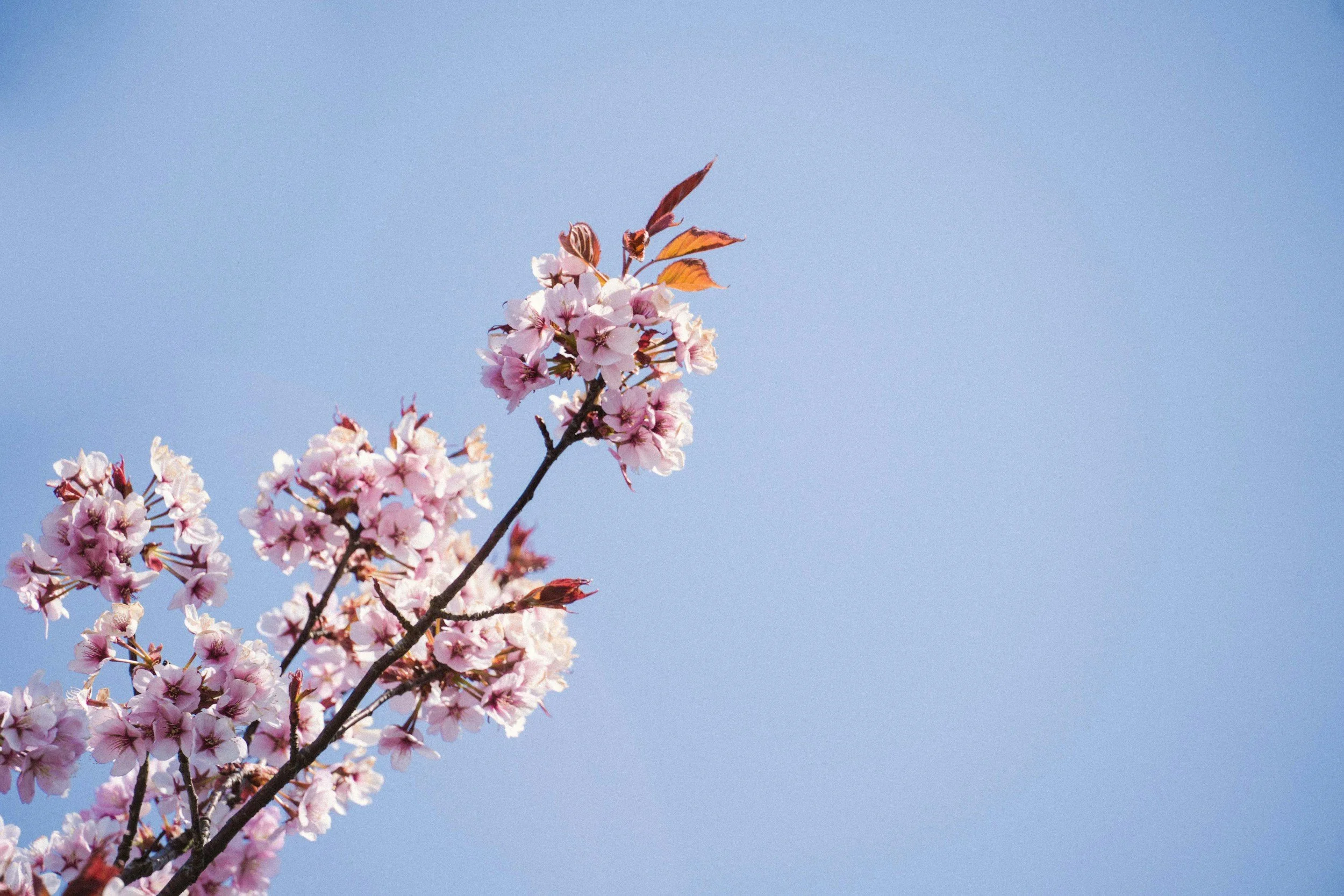 unsplash-image-QAQVtFth4bM.jpg