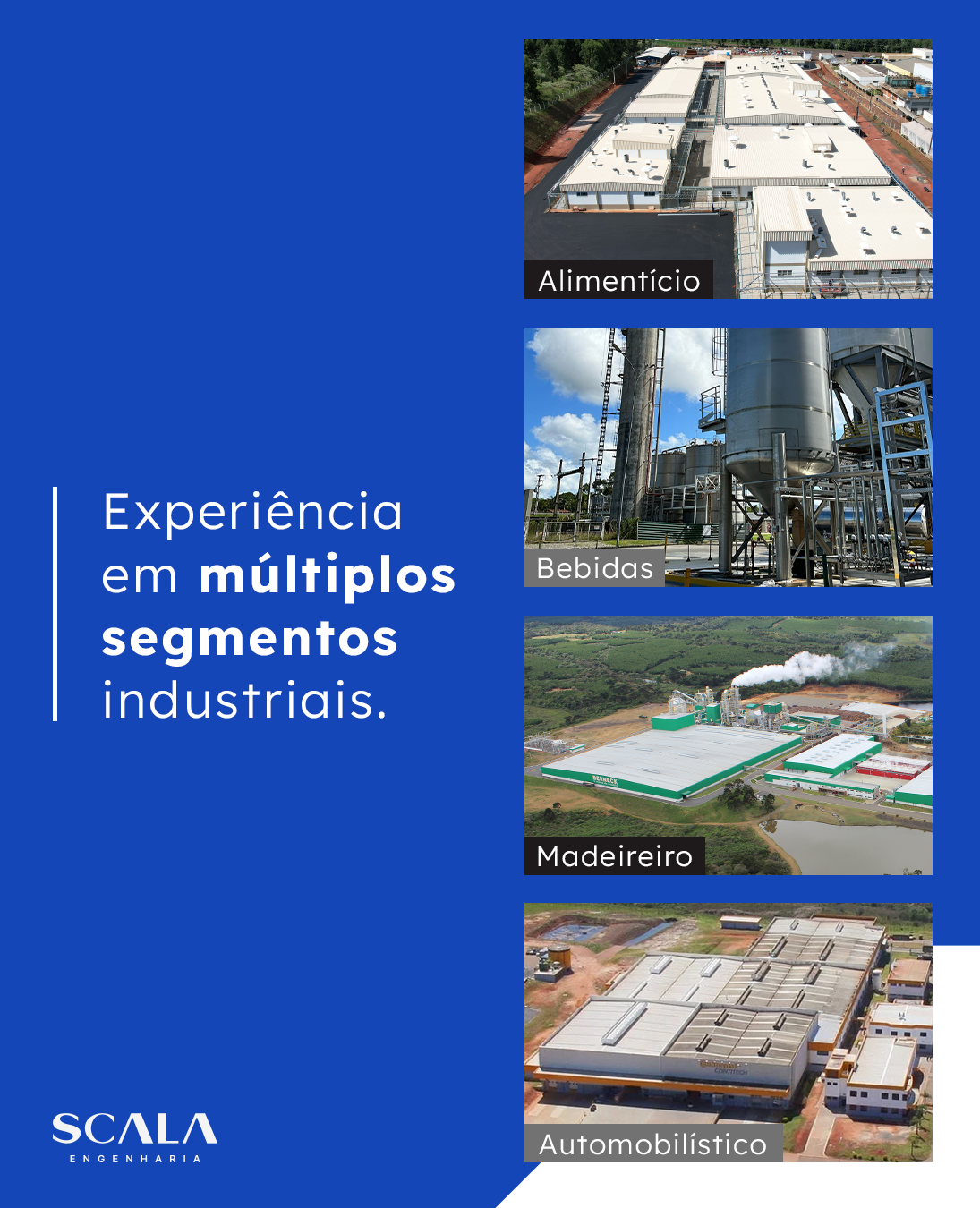 27 Diversidade setores.png