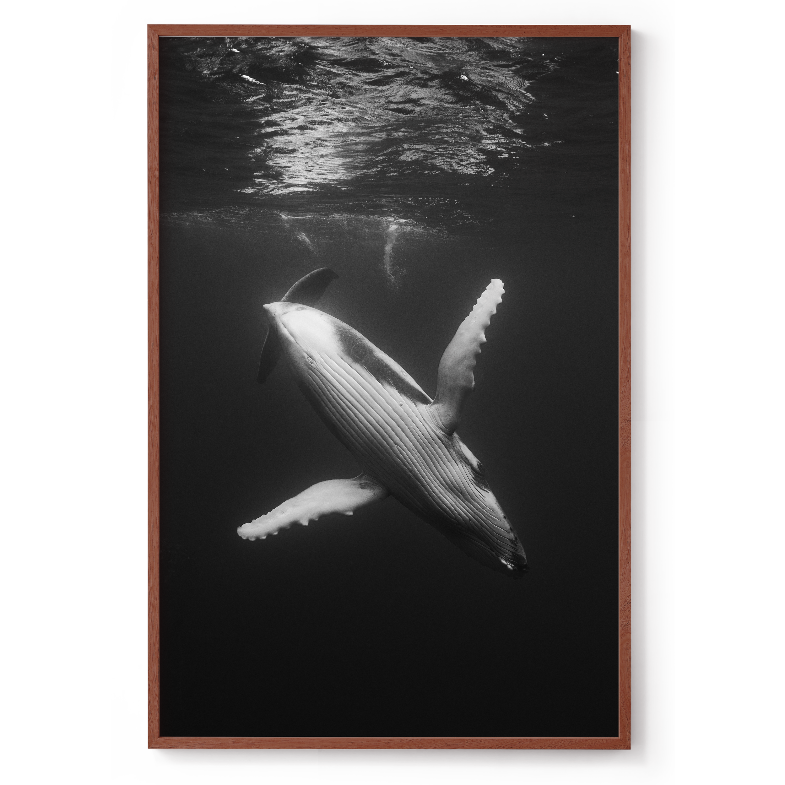 800x1200_Walnut_Waltz of the deep.png