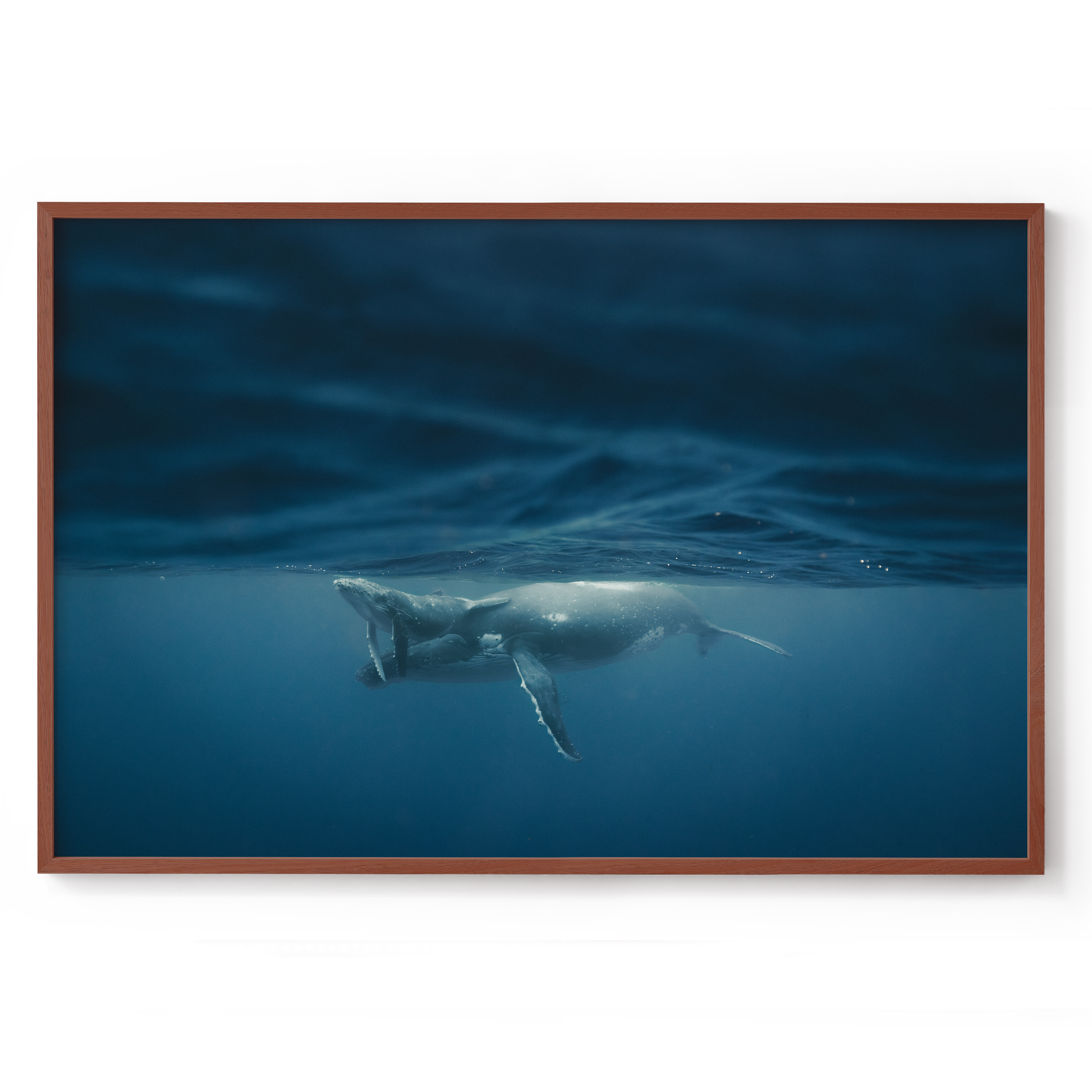 1200x800_Walnut_Between light and depth.png