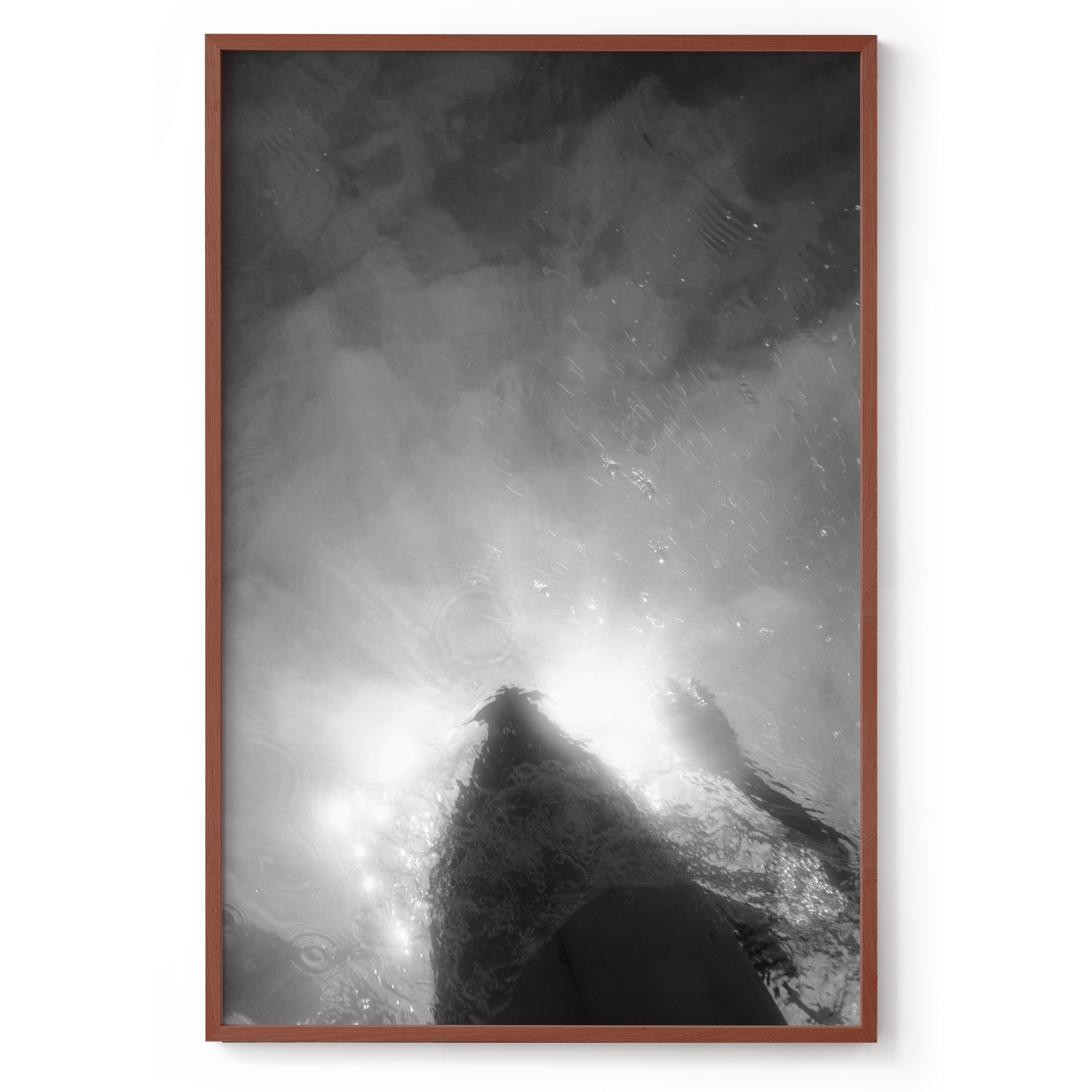 800x1200_Walnut_Still under motion.png