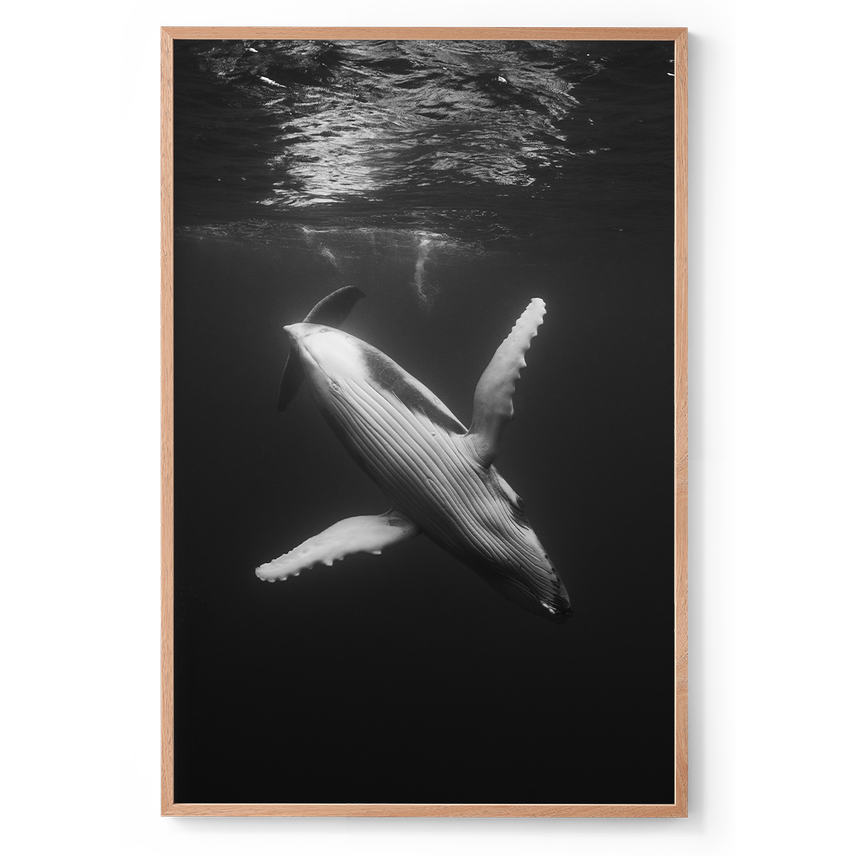 800x1200_Natural_Waltz of the deep.png