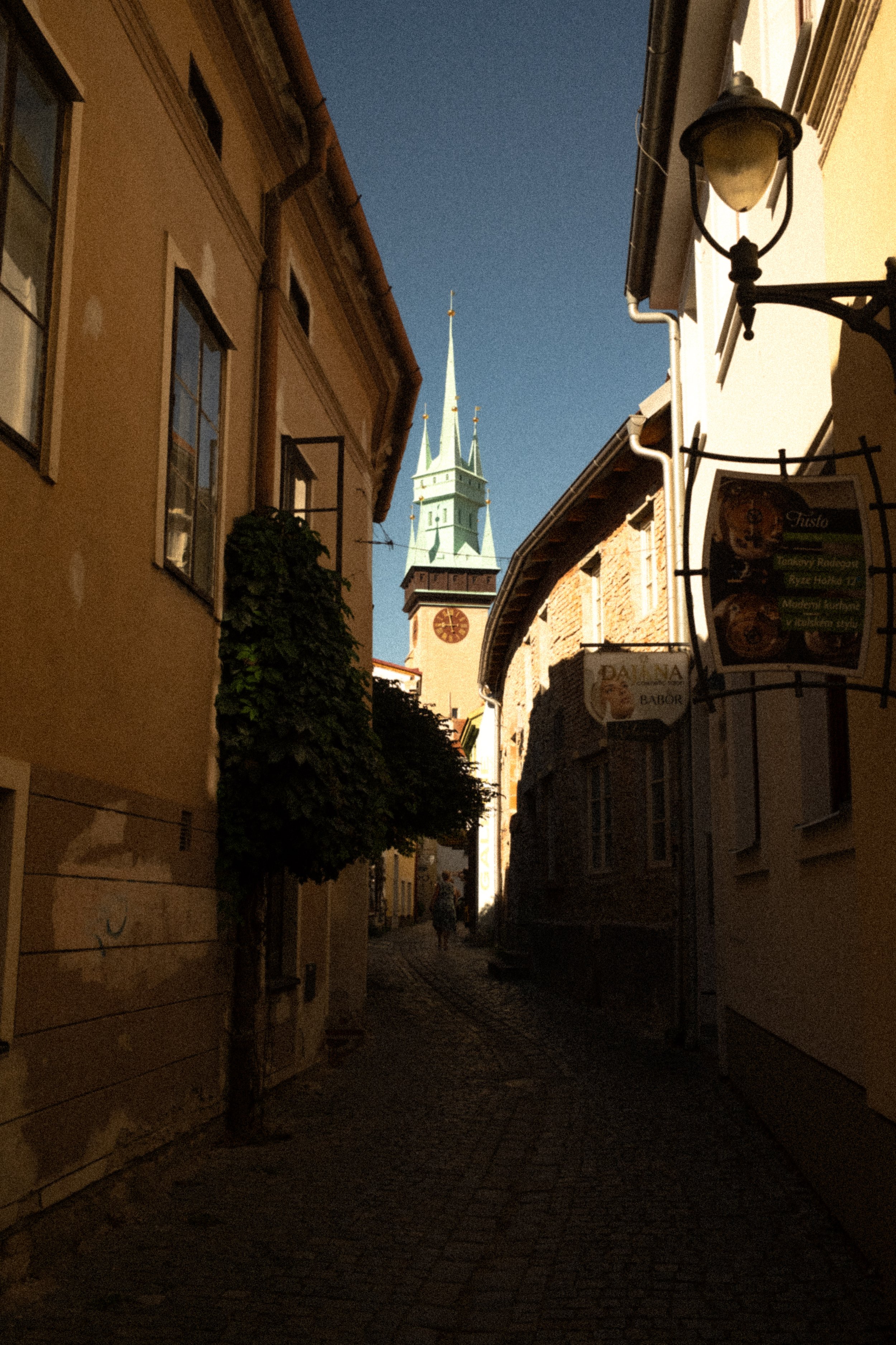 DSCF7387.jpg