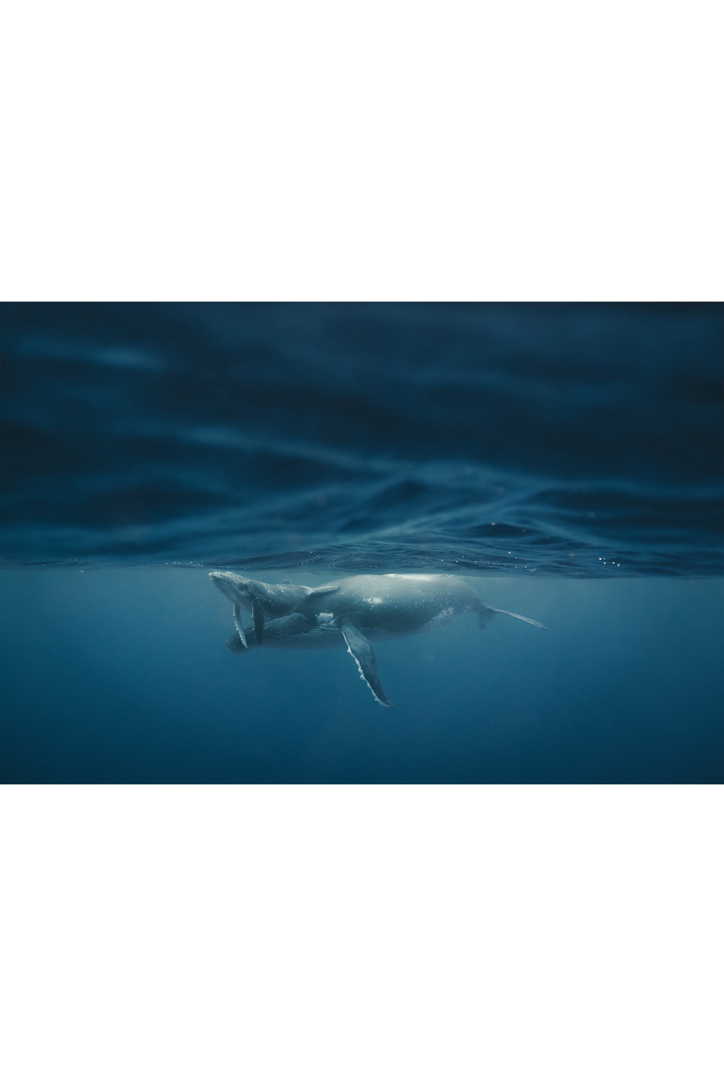 Between Light And Depth