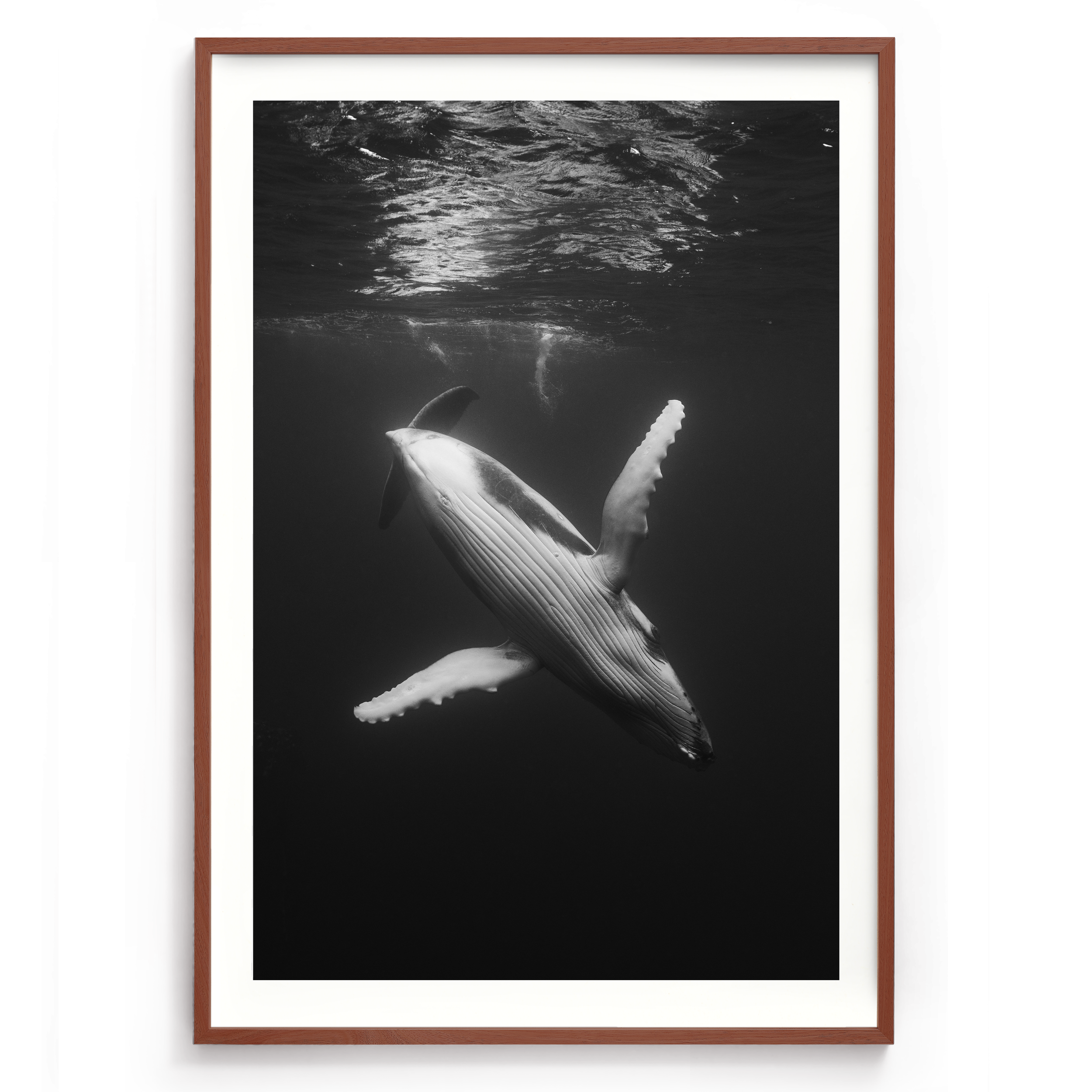 1200x835_Walnut_waltz of the deep.png