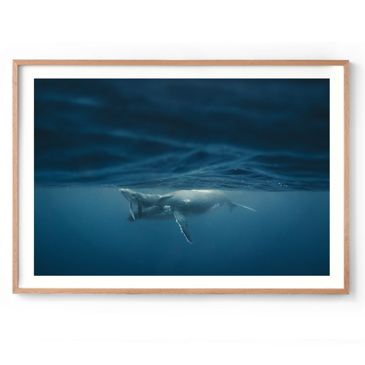 1200x835_Natural_Between light and depth.png