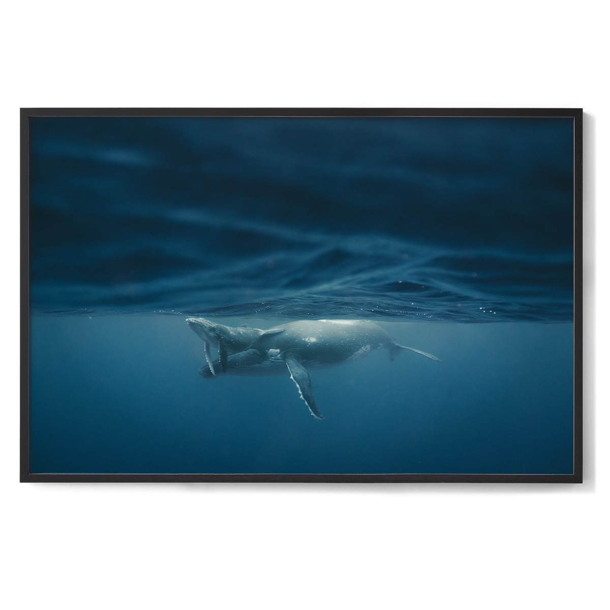 1200x800 Black_Between light and depth.png