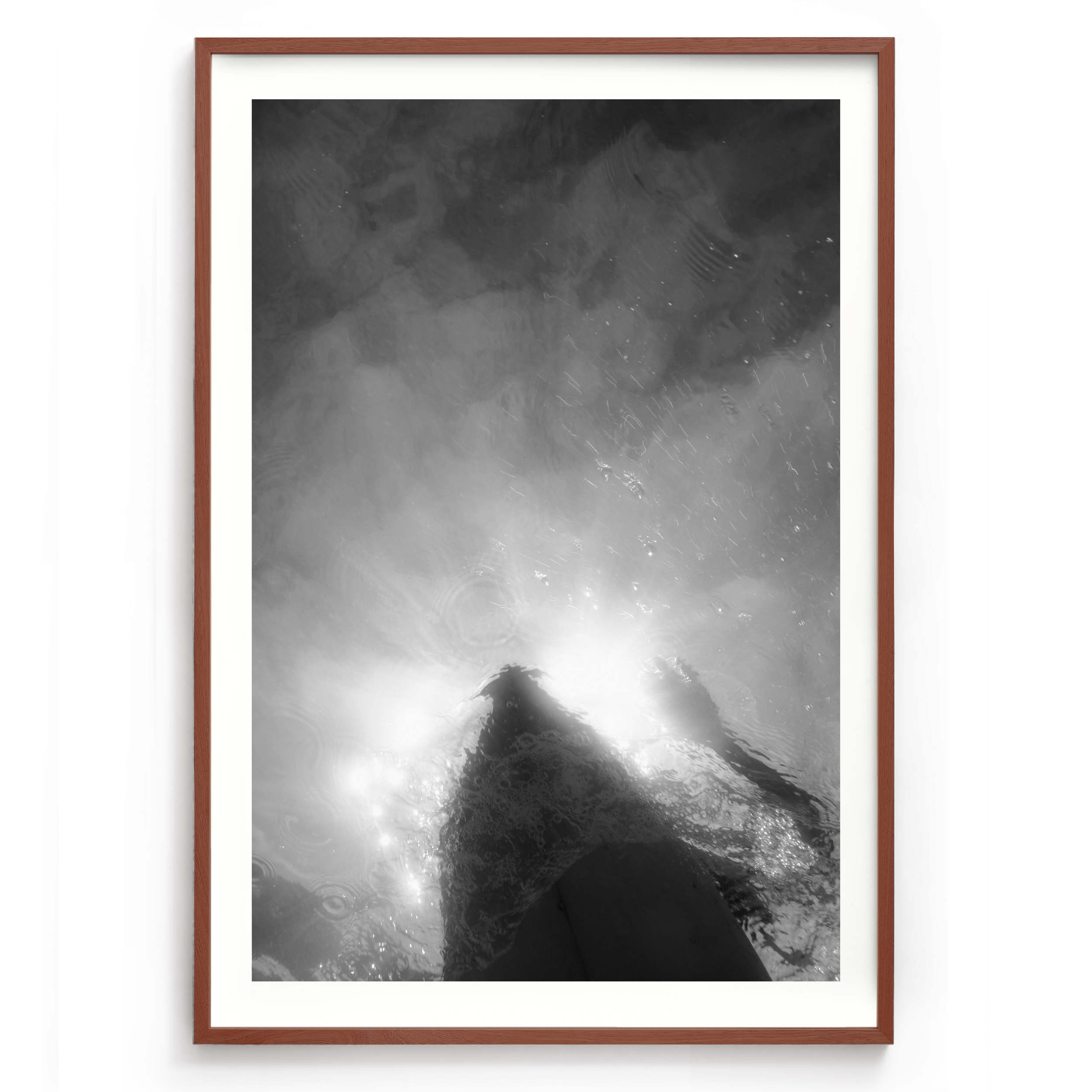 1200x835_Walnut_Still Under Motion.png