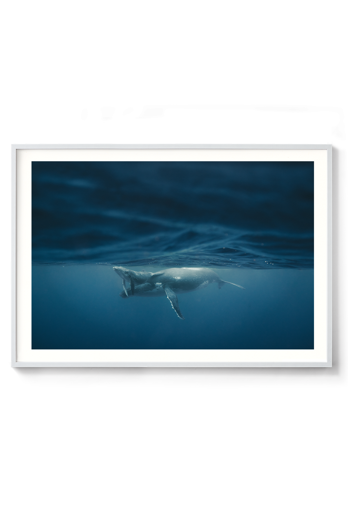 1200x835_White_Between light and depth.png