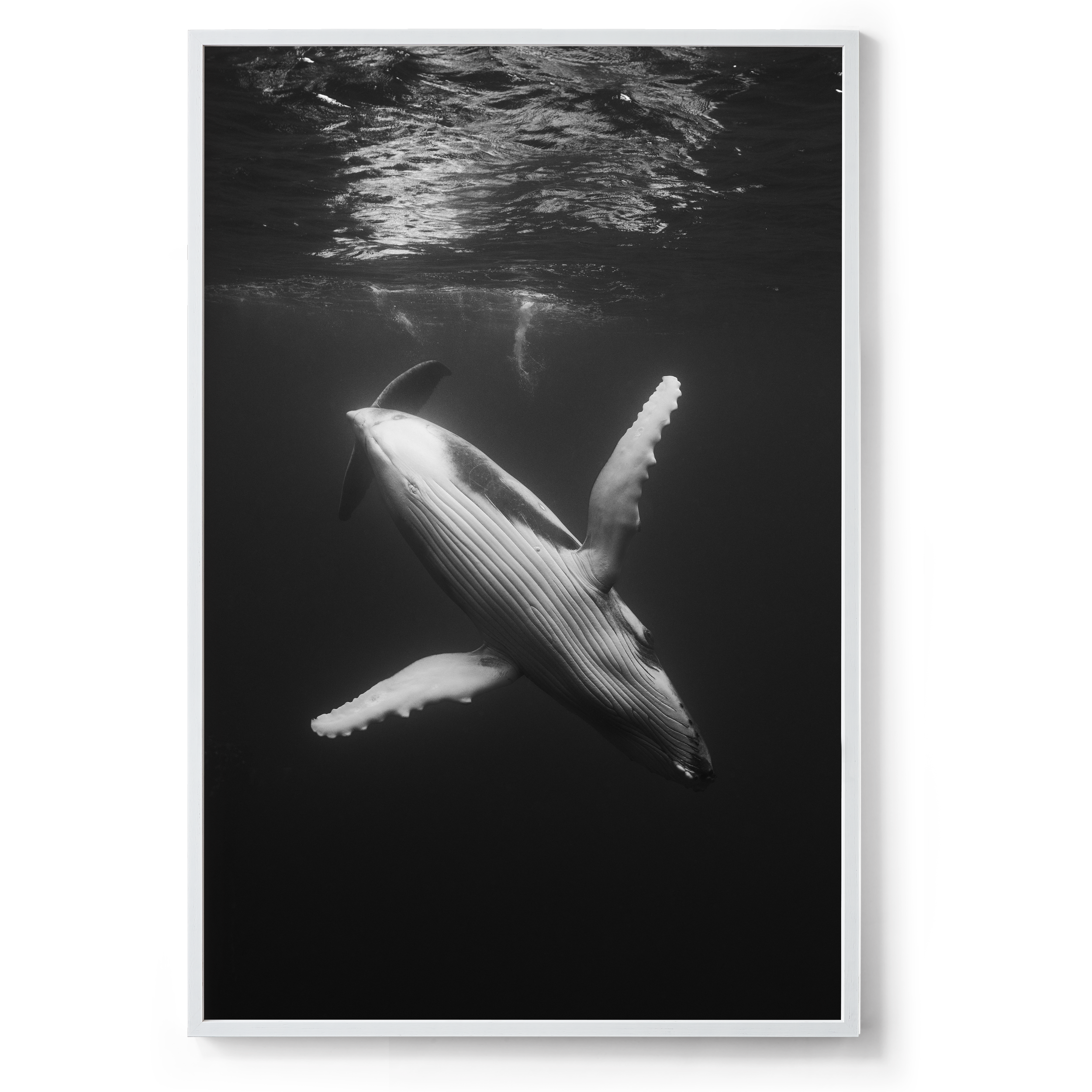 800x1200_White_Waltz of the deep.png