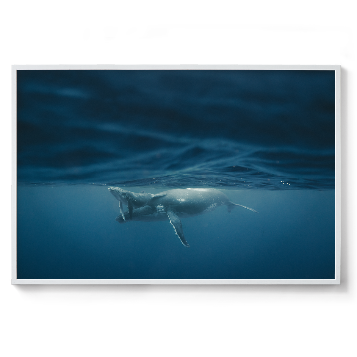 1200x800_White_Between light and depth .png