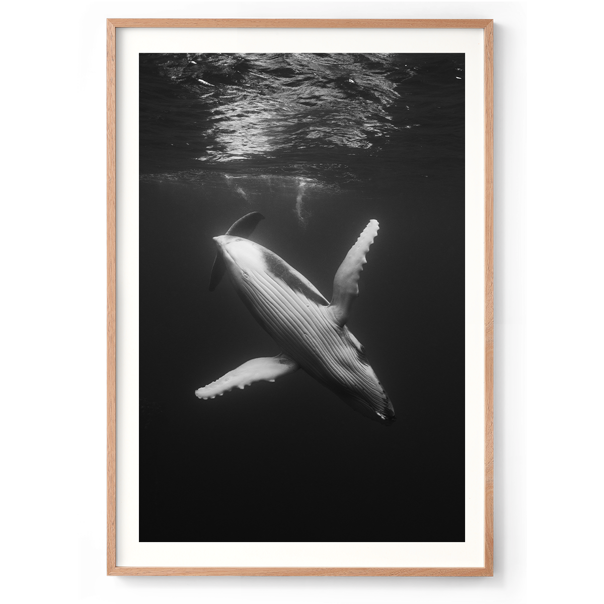 1200x835_Natural_Waltz of the deep.png