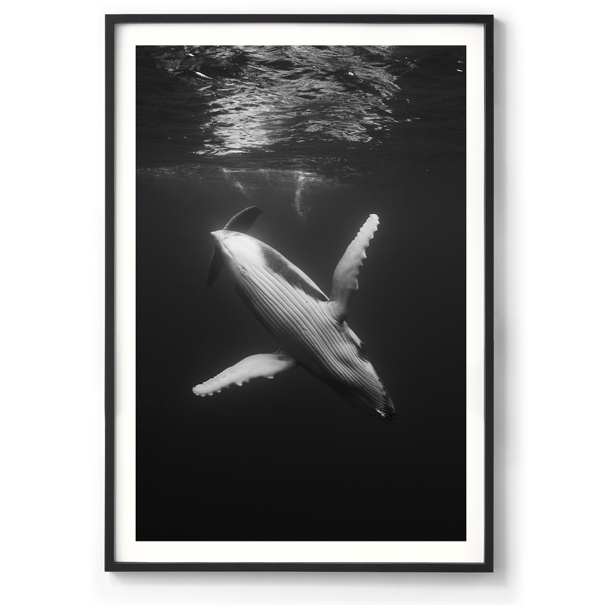 1200x835_Black_Waltz of the deep.png