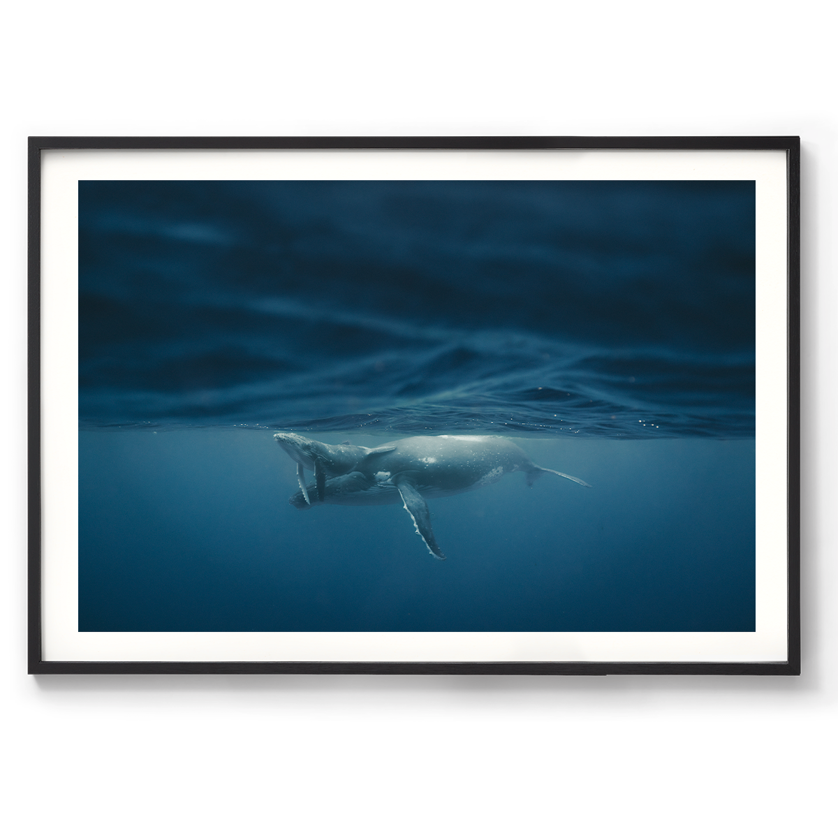 1200x835_Black_Between light and depth.png