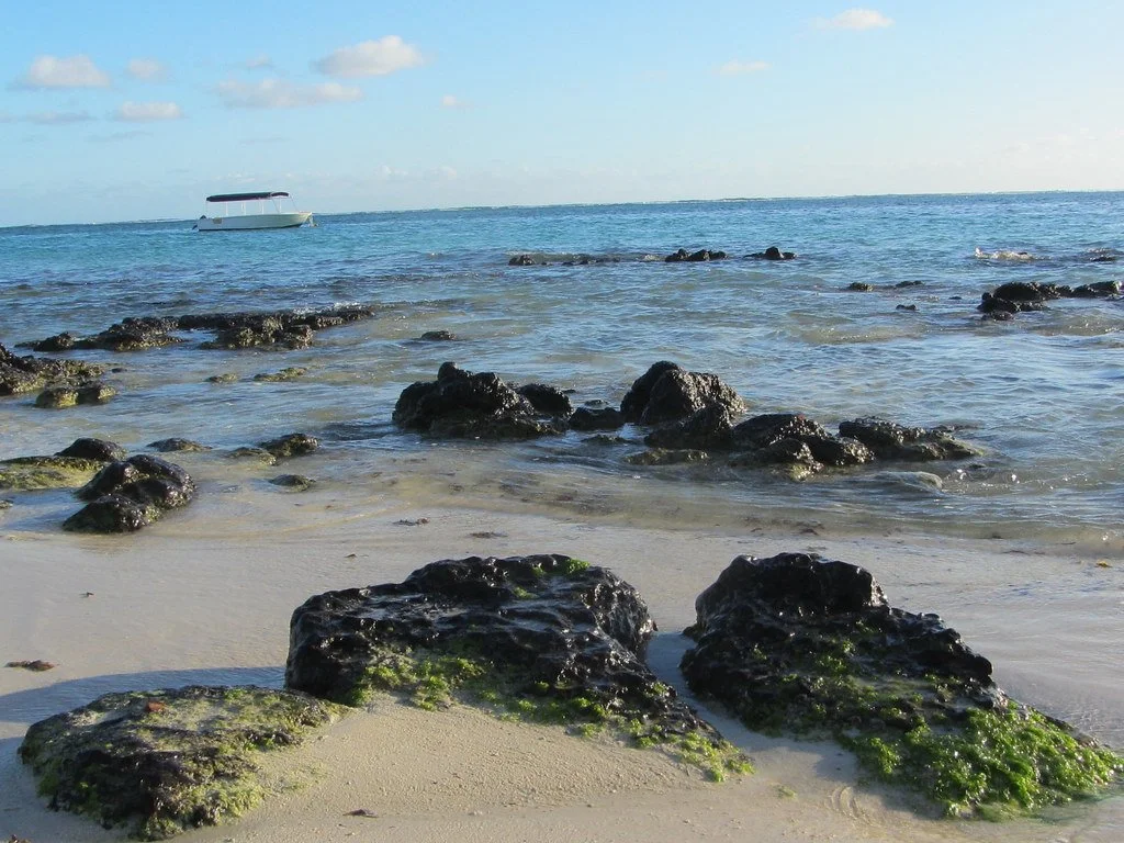 Palmer Beach - Mauritius.jpg