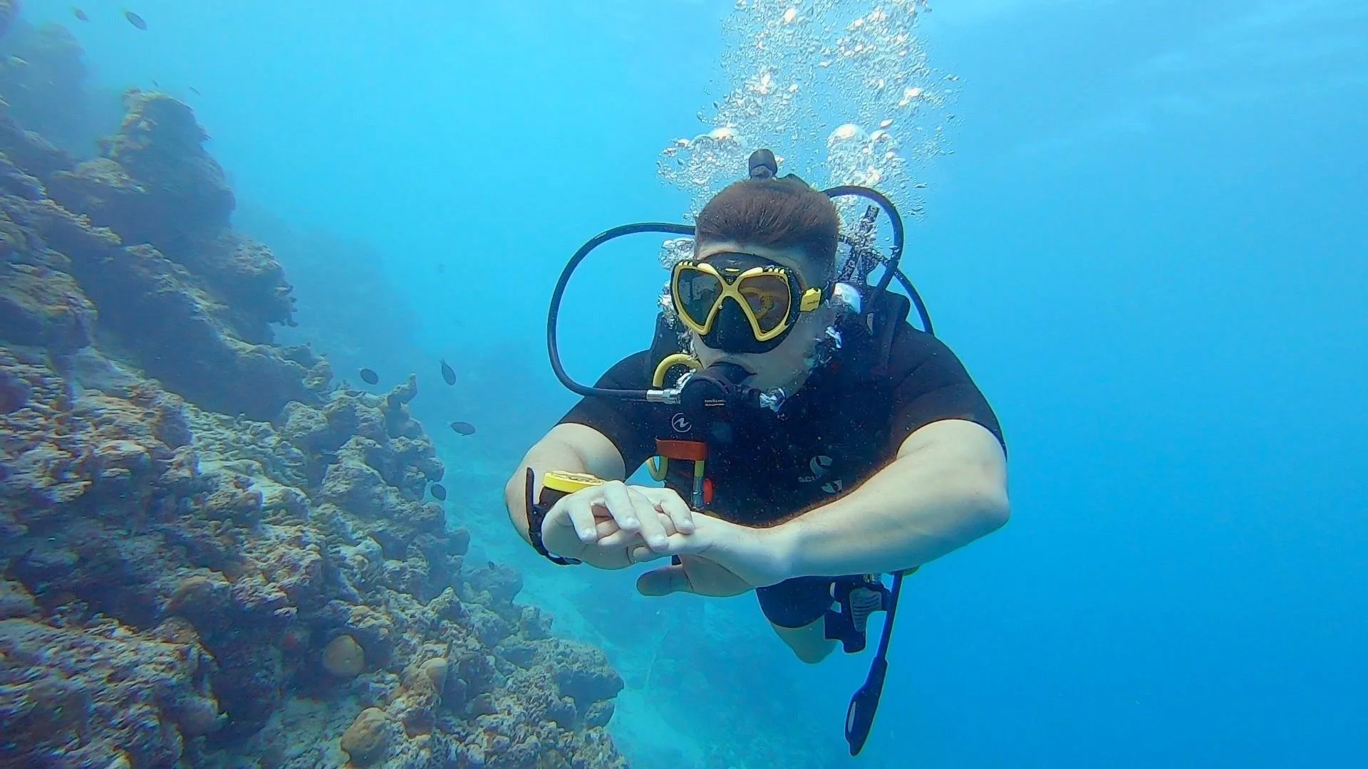 Diving 2.jpg