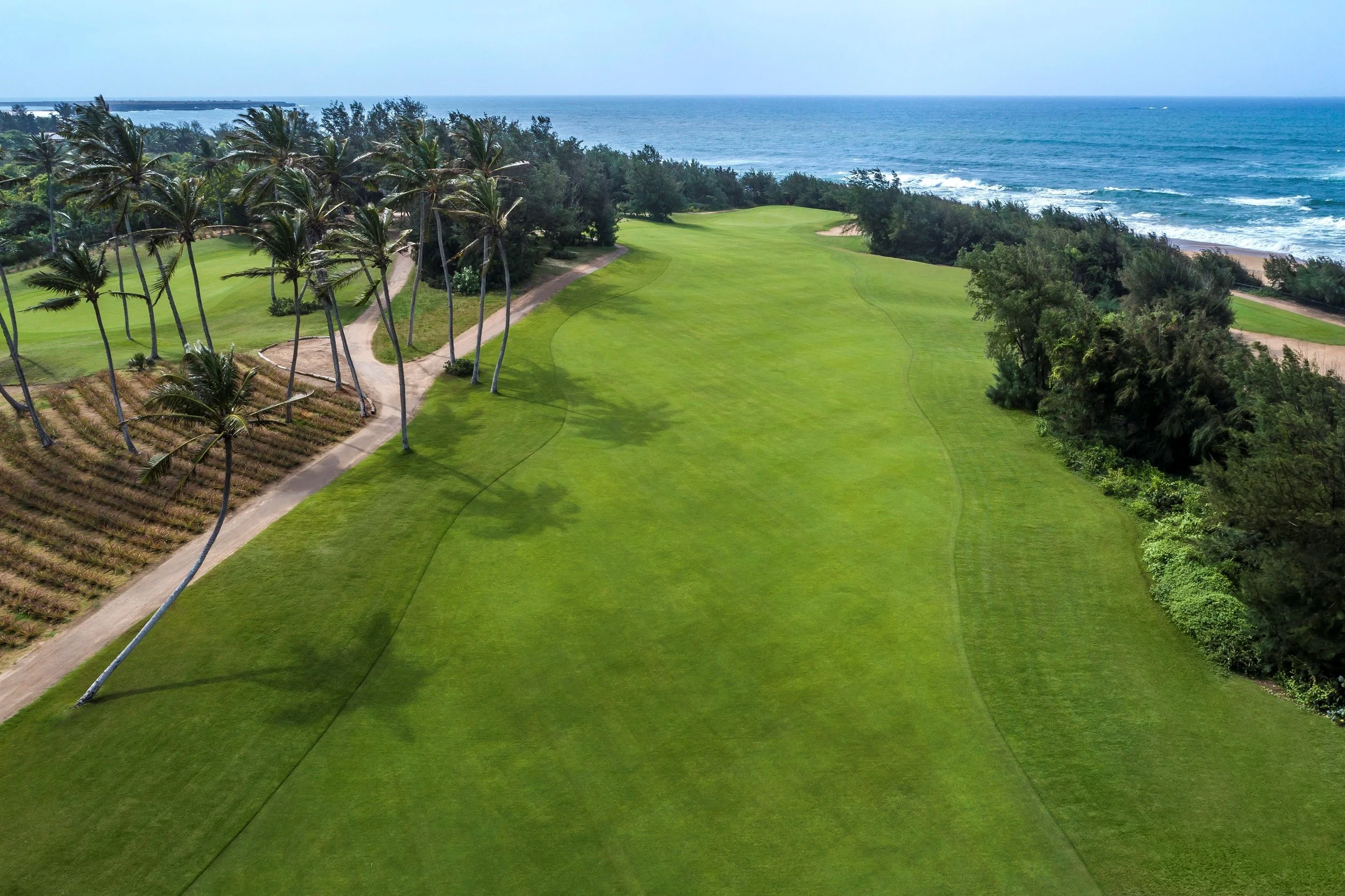 1n. Golf course - aerial.JPG