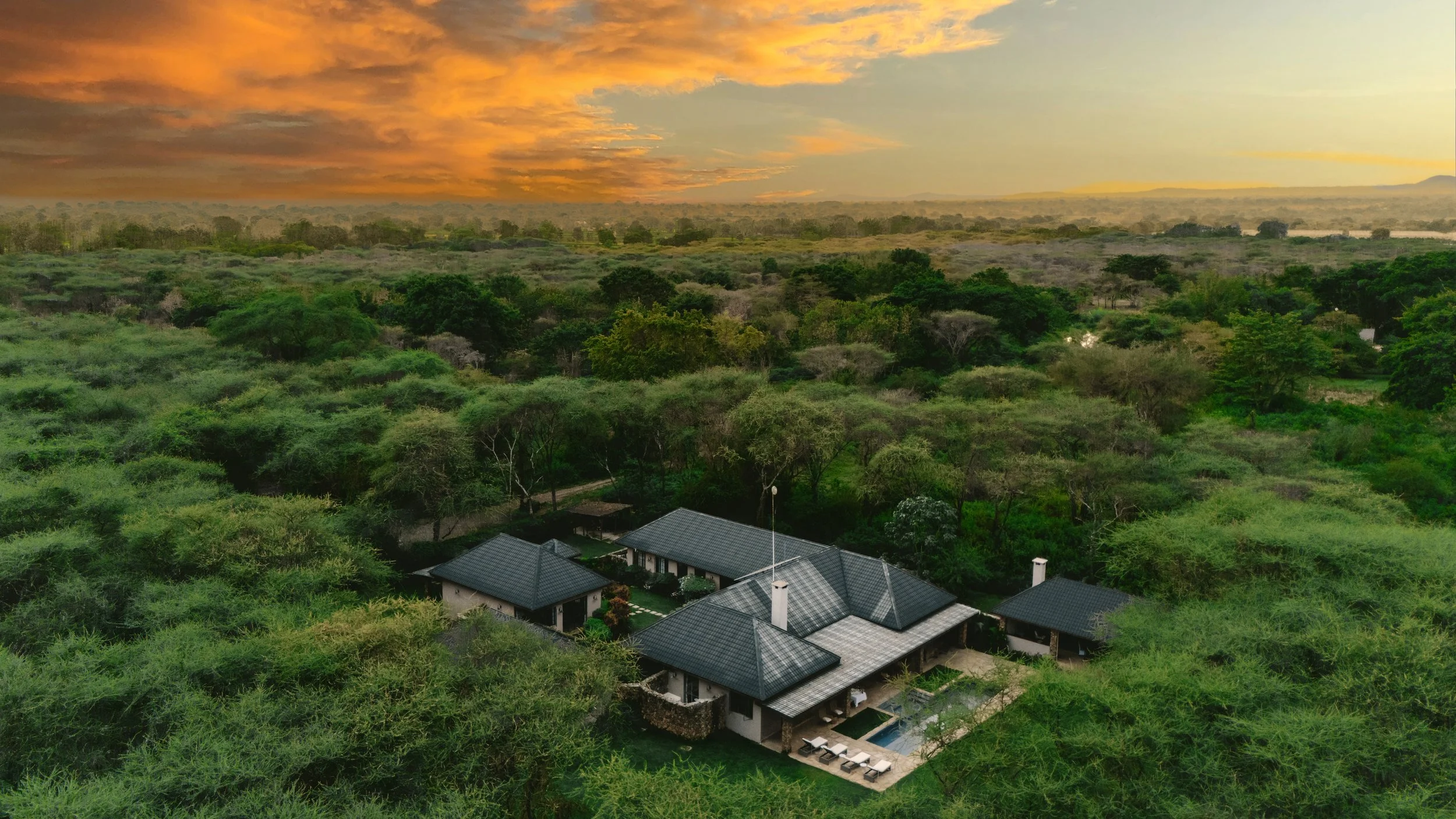 Hamerkop House