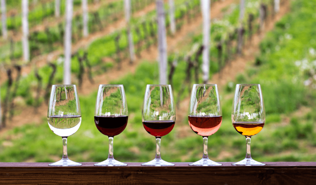 Cape Town - Wine tasting