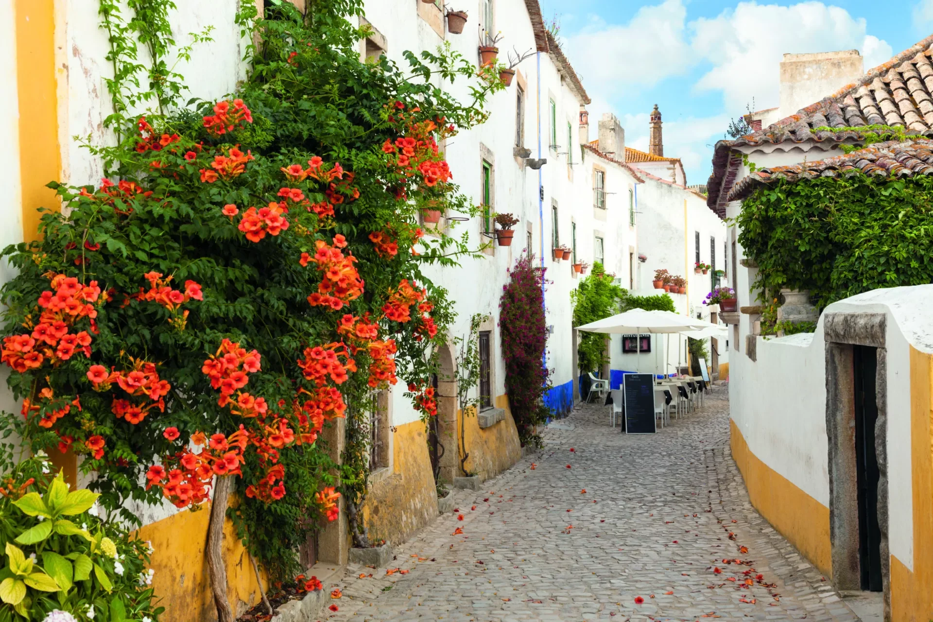 obidos-7.webp