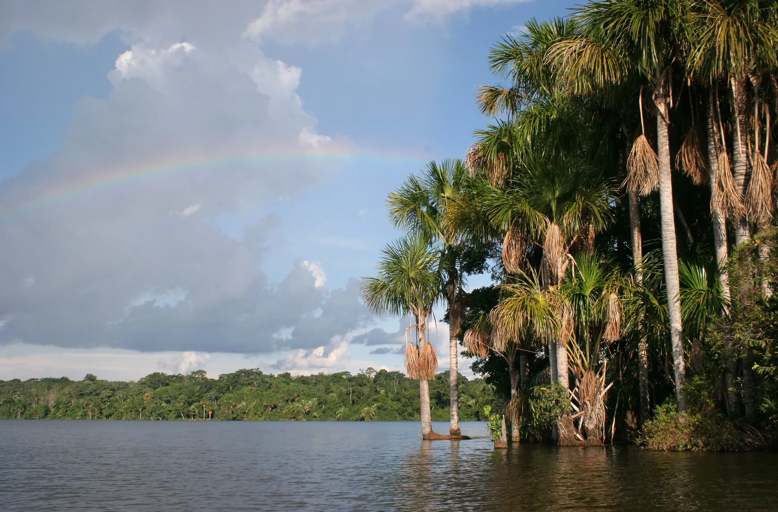 Puerto Maldonado (6).jpg