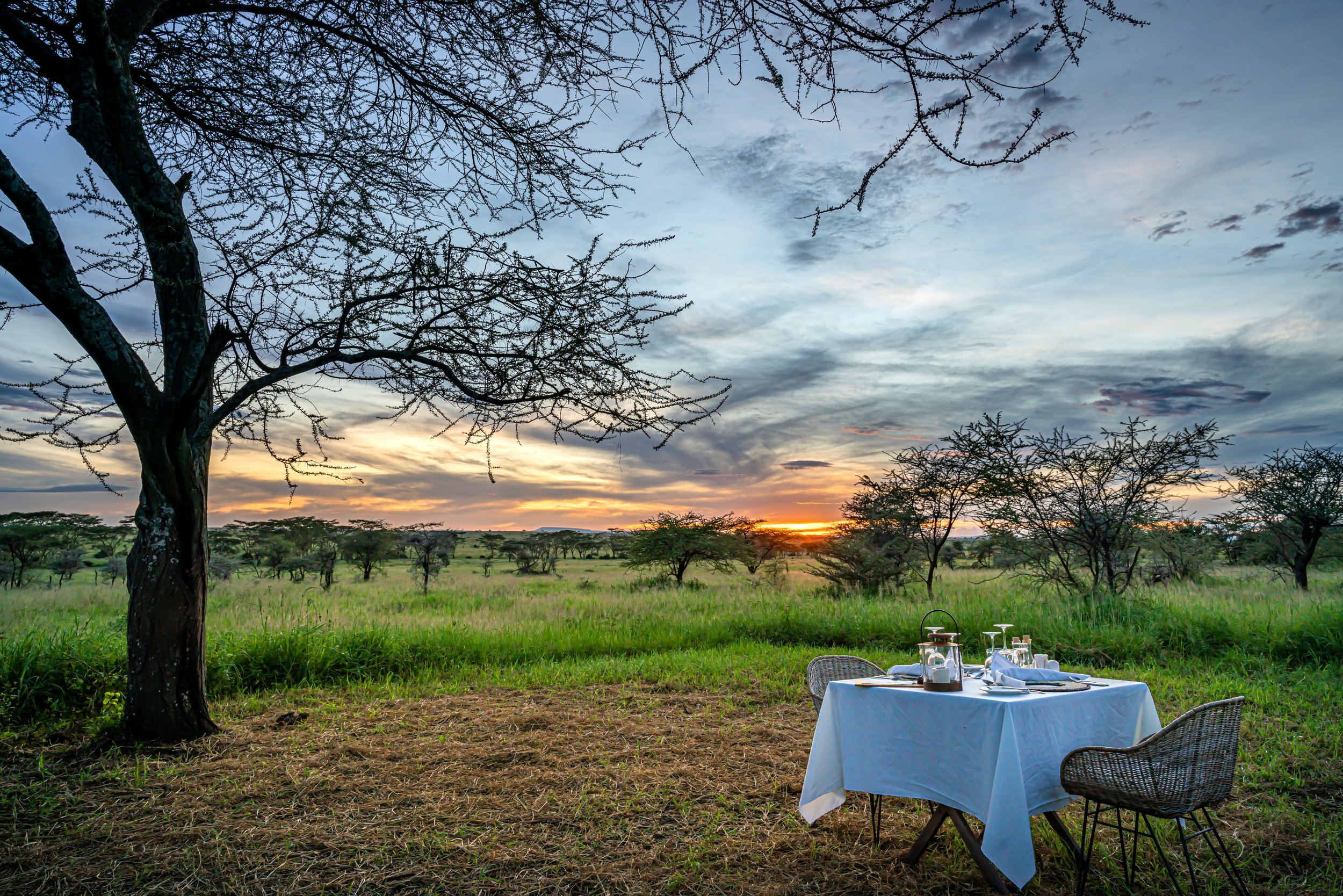 Lemala Nanyukie - Serengeti Camp