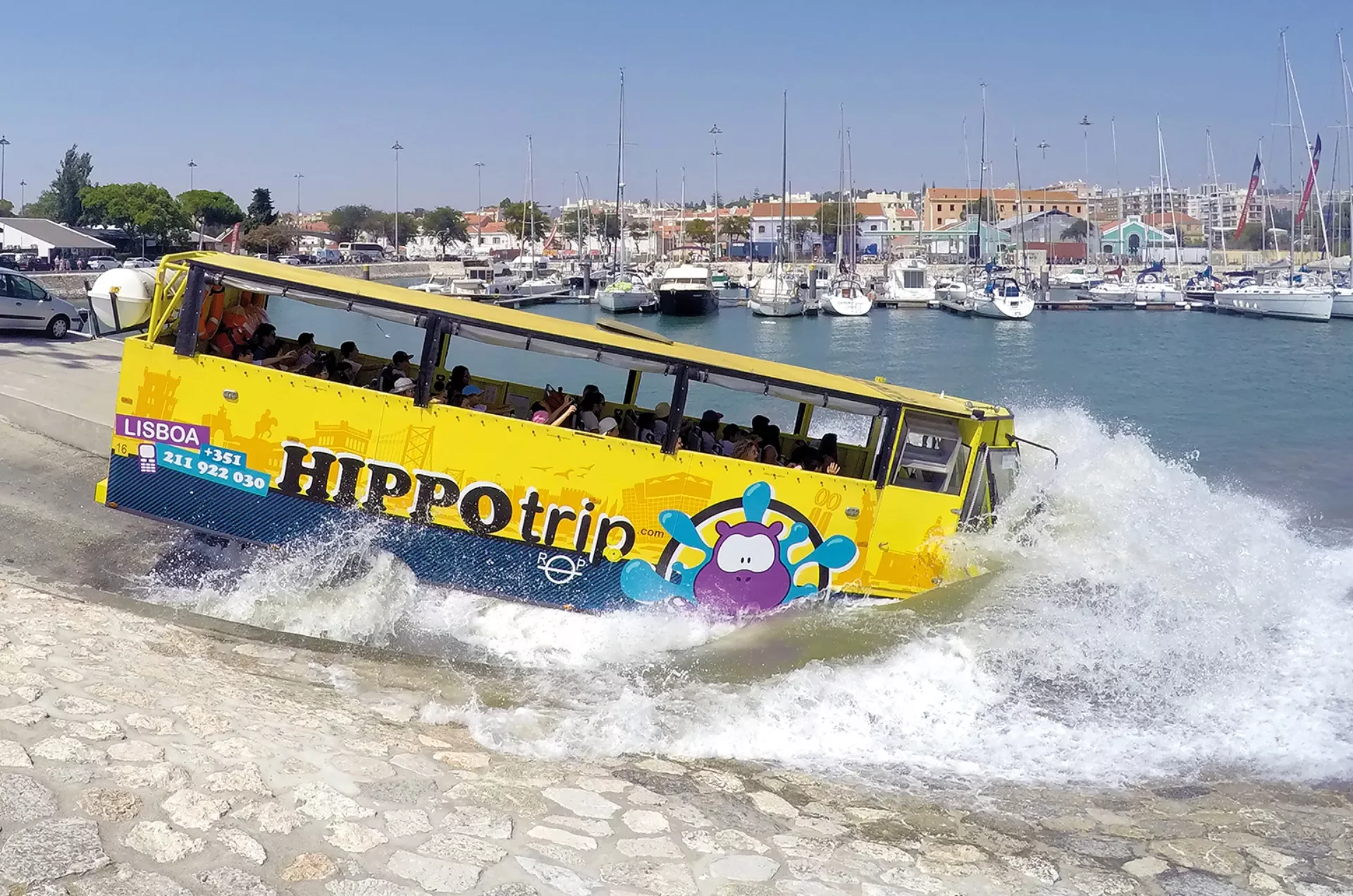 HIPPOtrip_B_s-1.webp