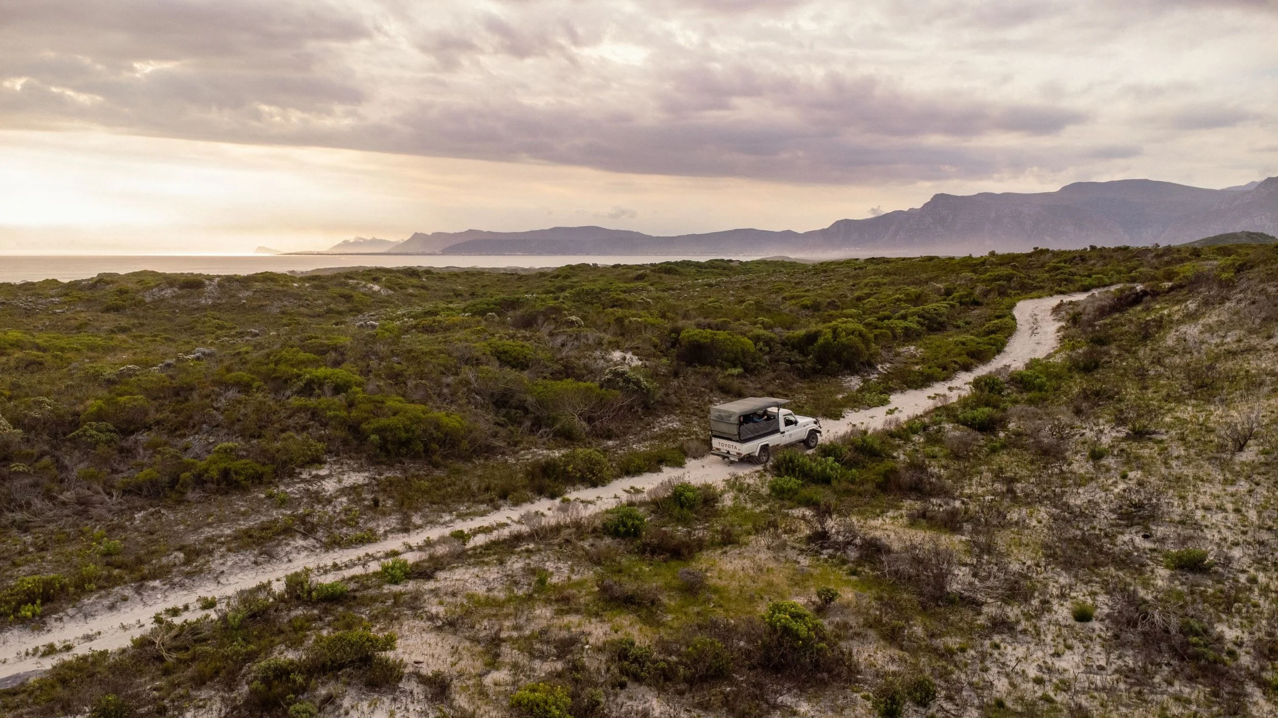 Fynbos Safari