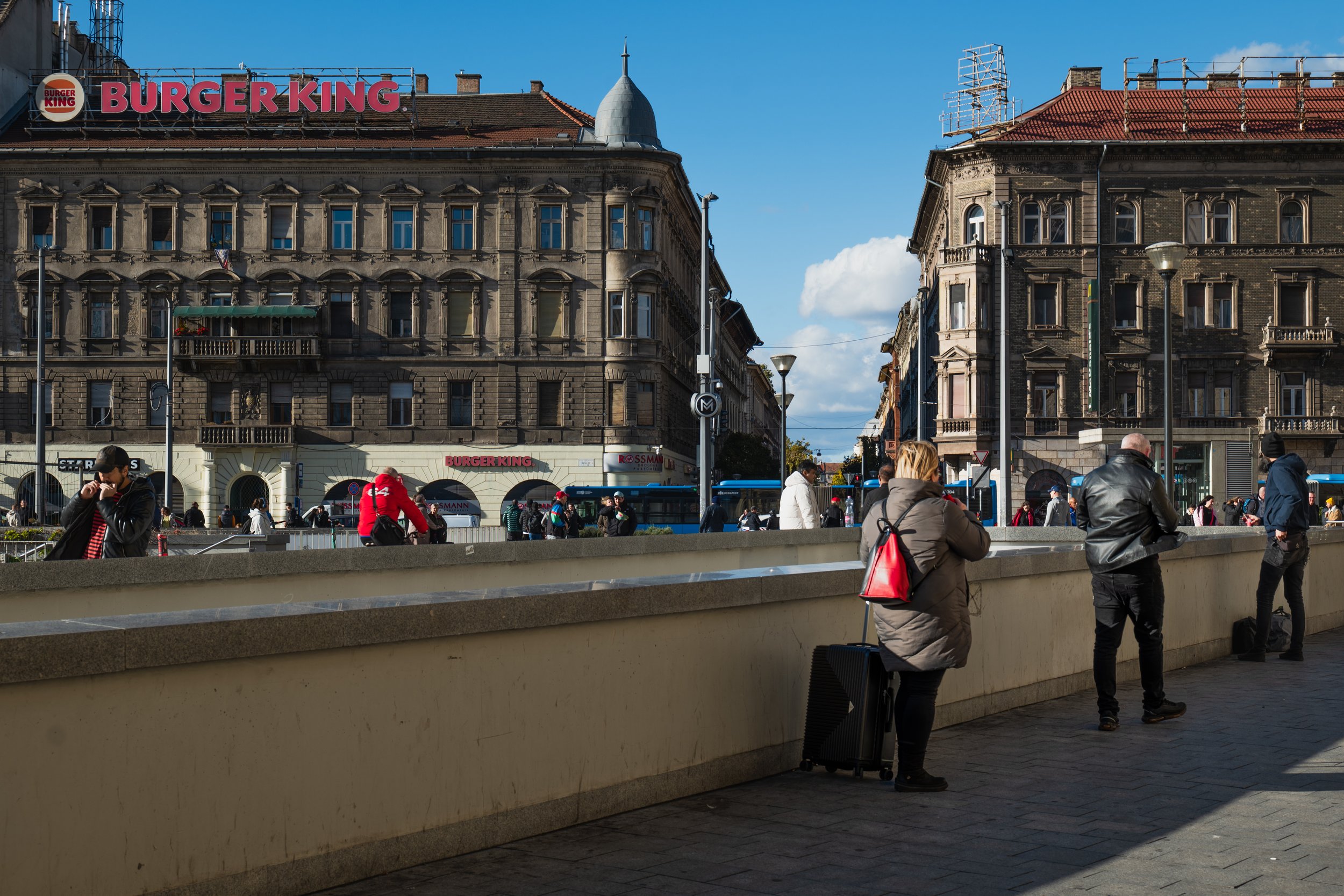 P1033632.jpg