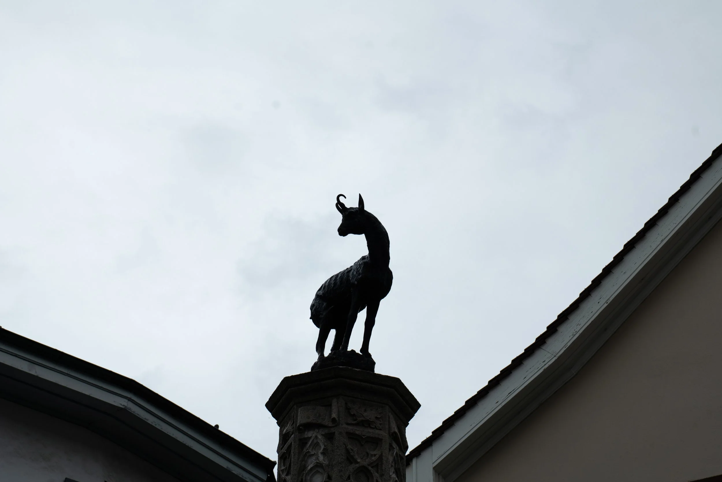 P1033146.jpg