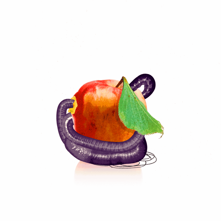 MAIN.gif