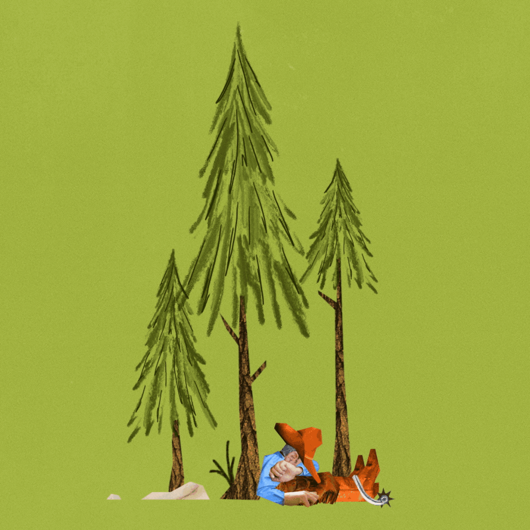 cowboy_vimeo.gif