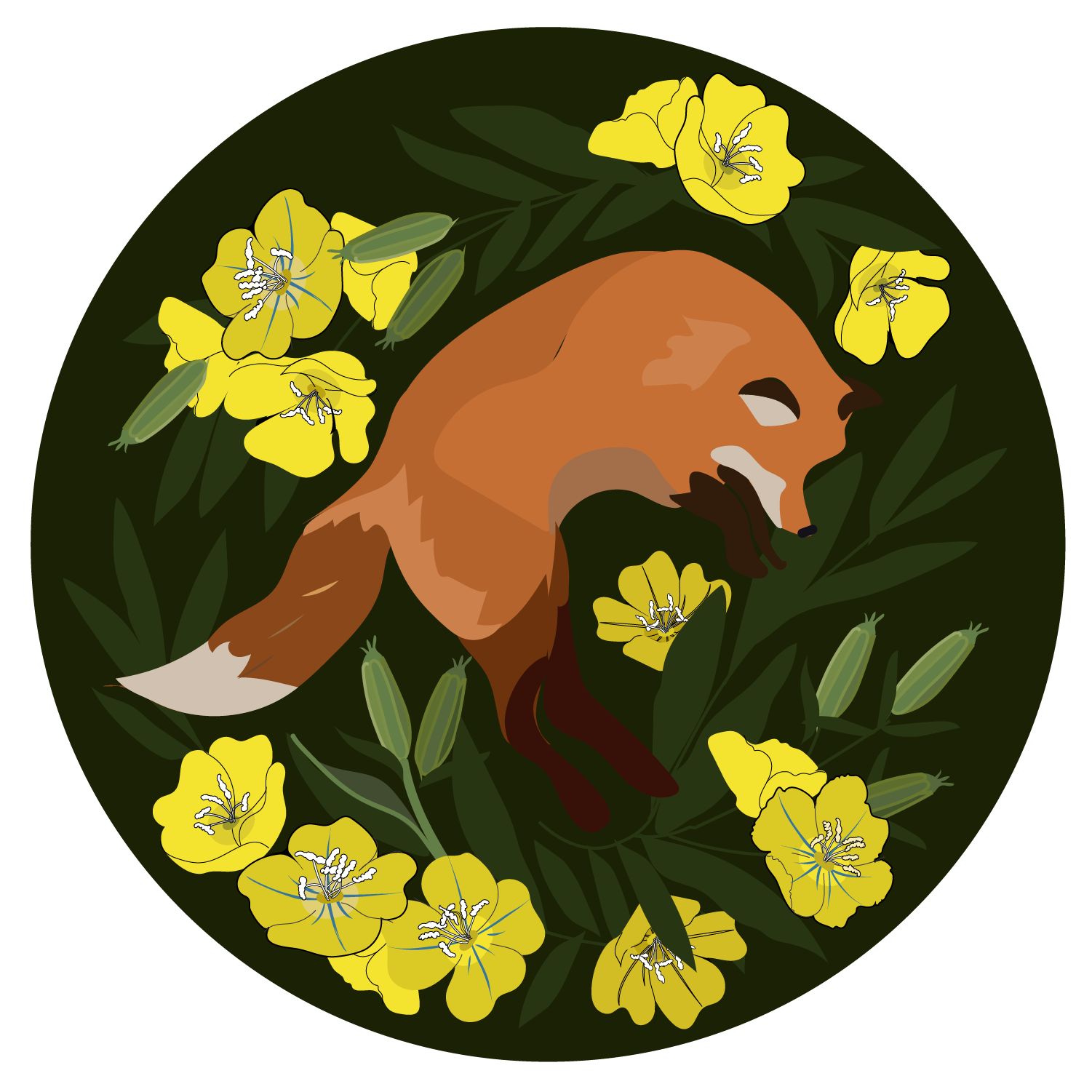 evening primrose and fox.png