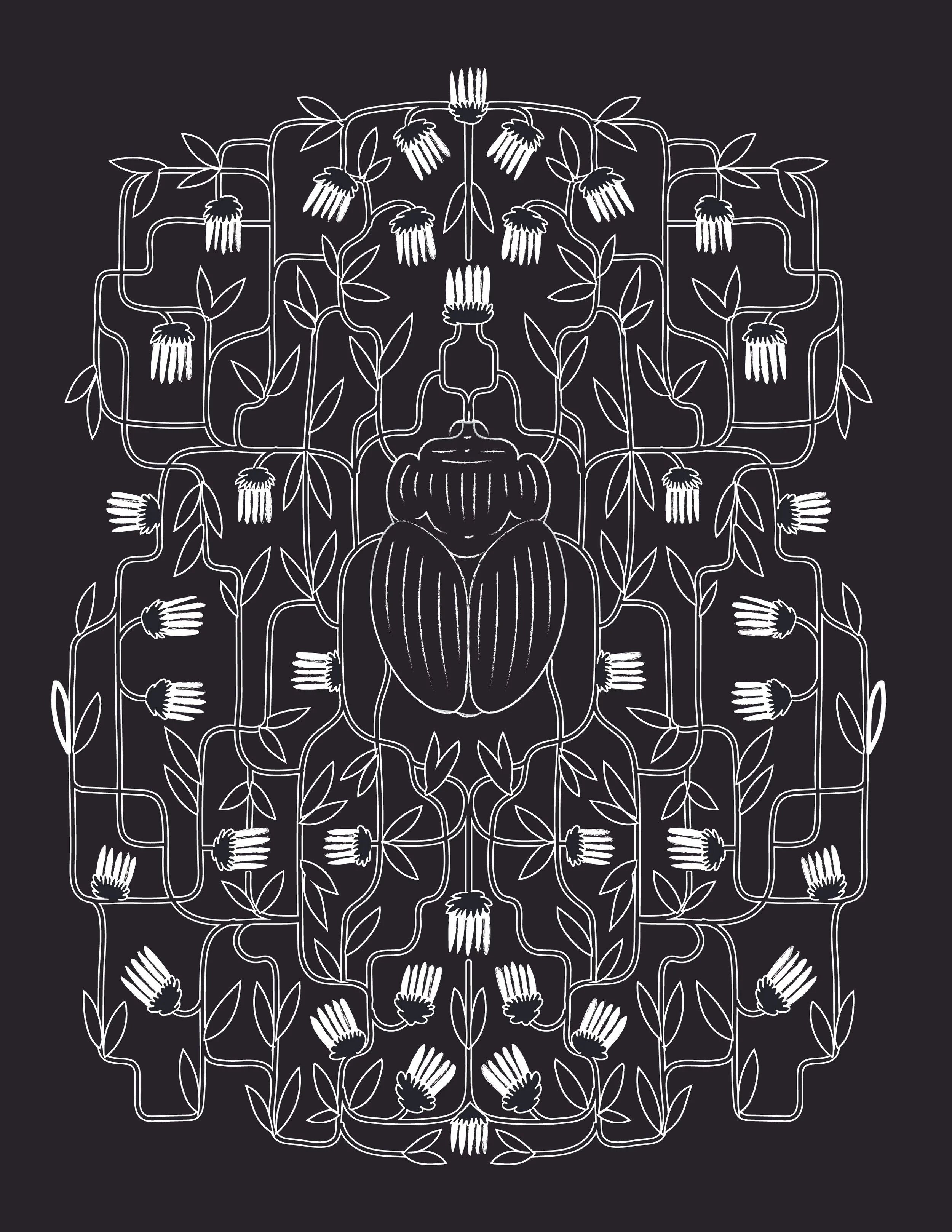 beetle blk and wht.jpg