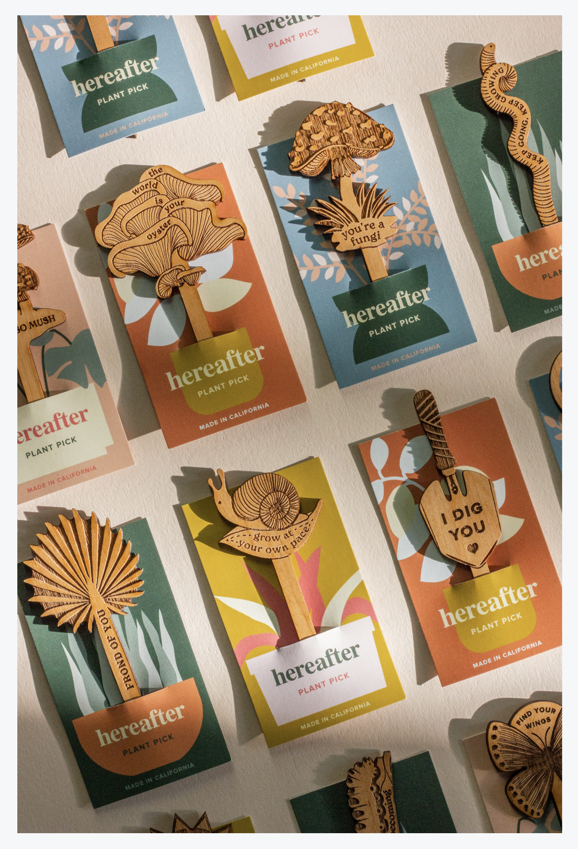 Screenshot 2025-01-10 at 2.29.34 PM.png