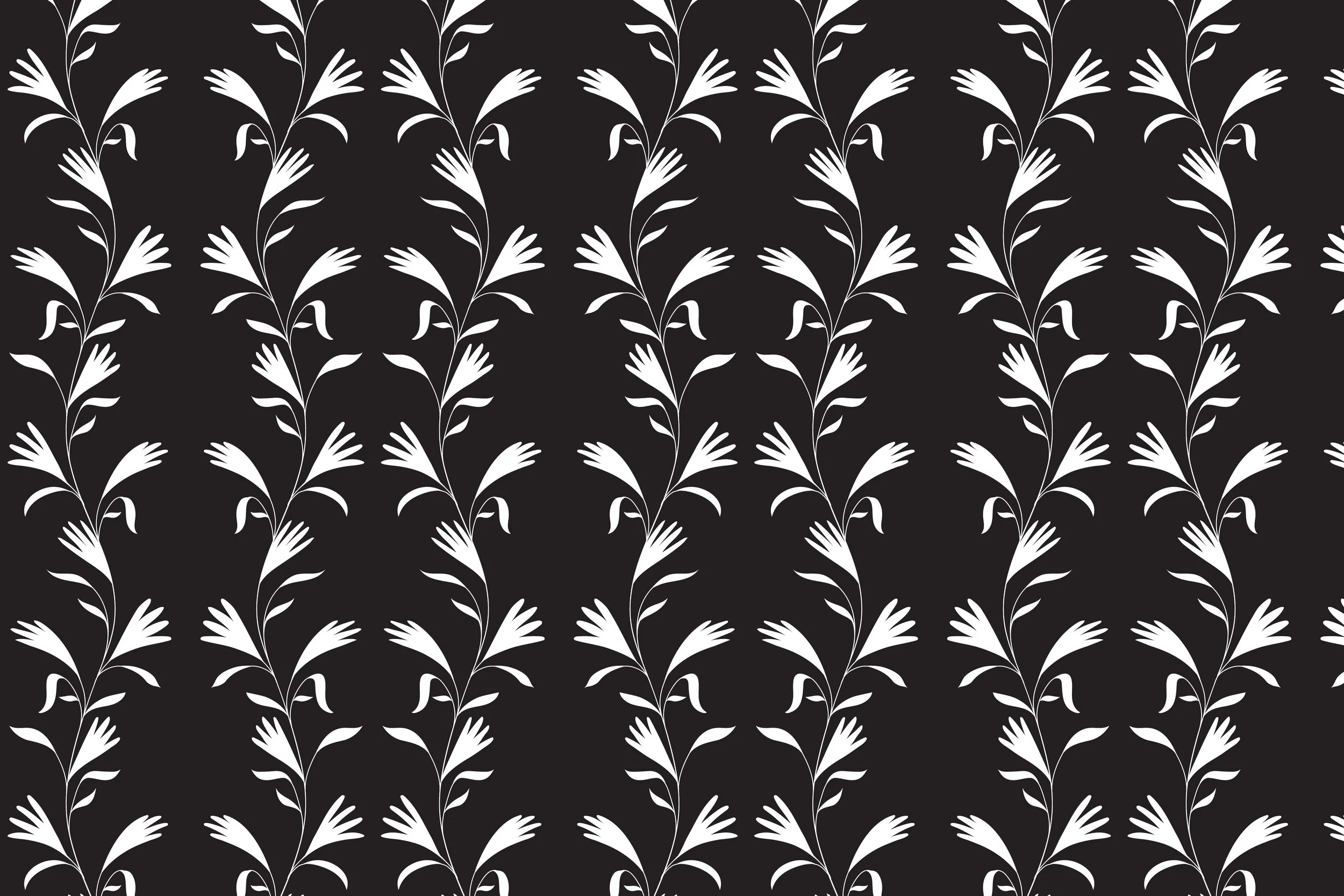 delicate black and white.jpg