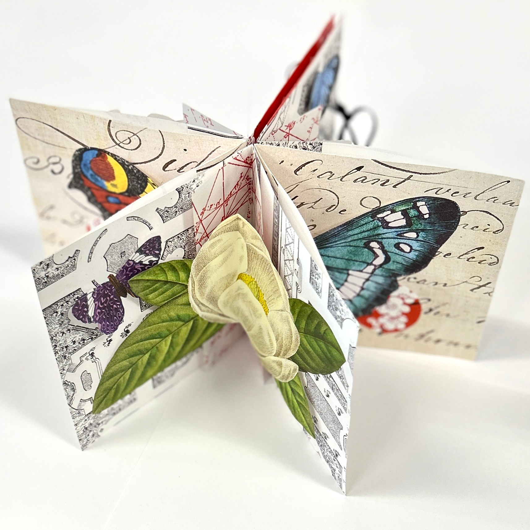 Carousel Book