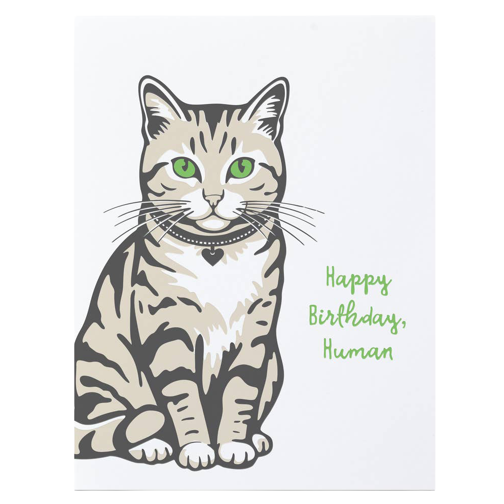 Birthday Kitty