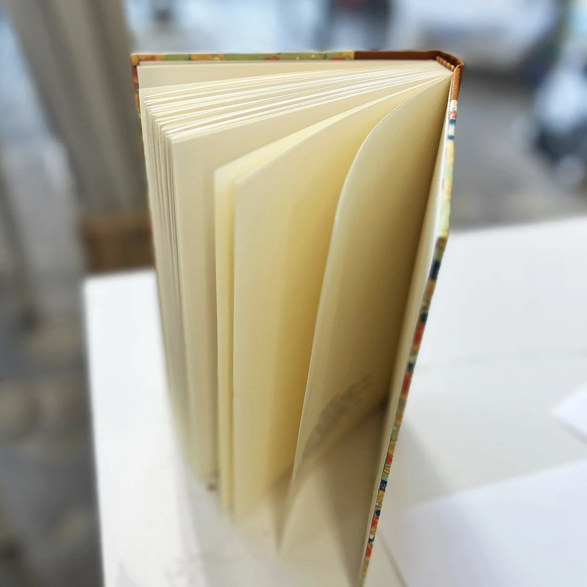 Case Bound Blank Book #2.jpg