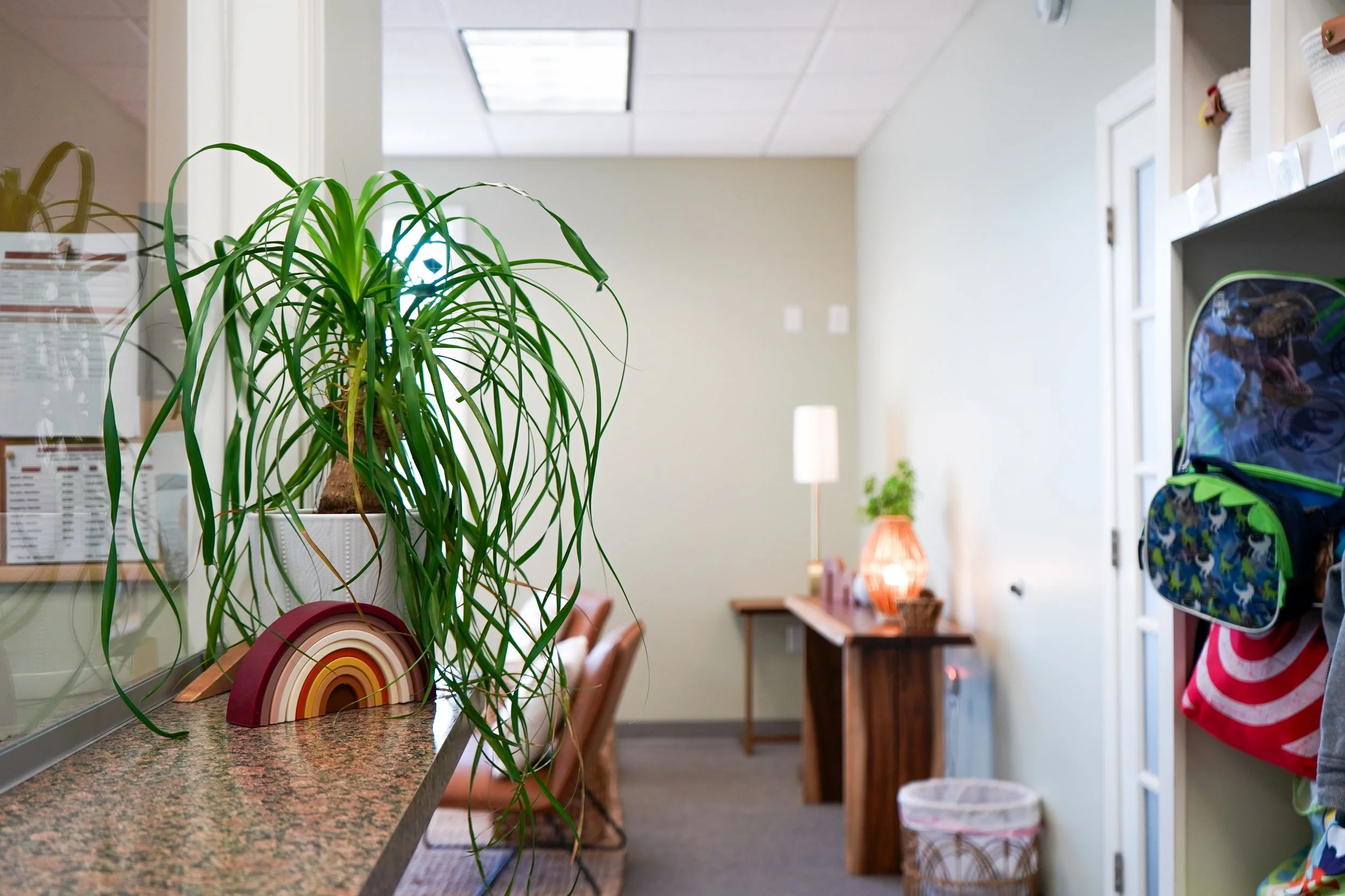 Indoor waiting area with a potted plant on a granite counter, decorative rainbow, wooden chairs, desk with a lamp, and wall decorations in the background.
