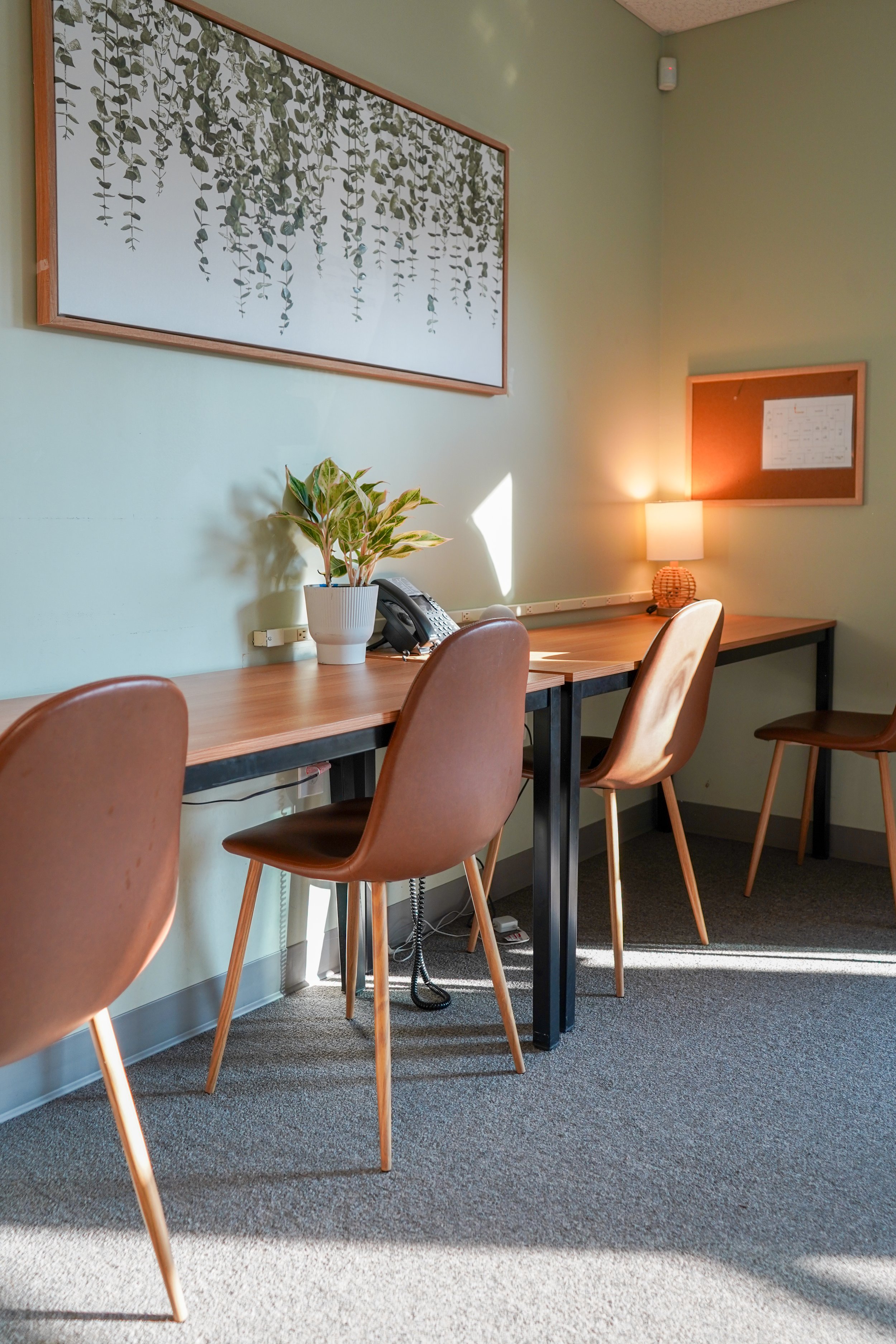 An office space with a long wooden table, four brown chairs, a potted plant, a landline phone, a table lamp, a framed print above, and a cork bulletin board on a light green wall.