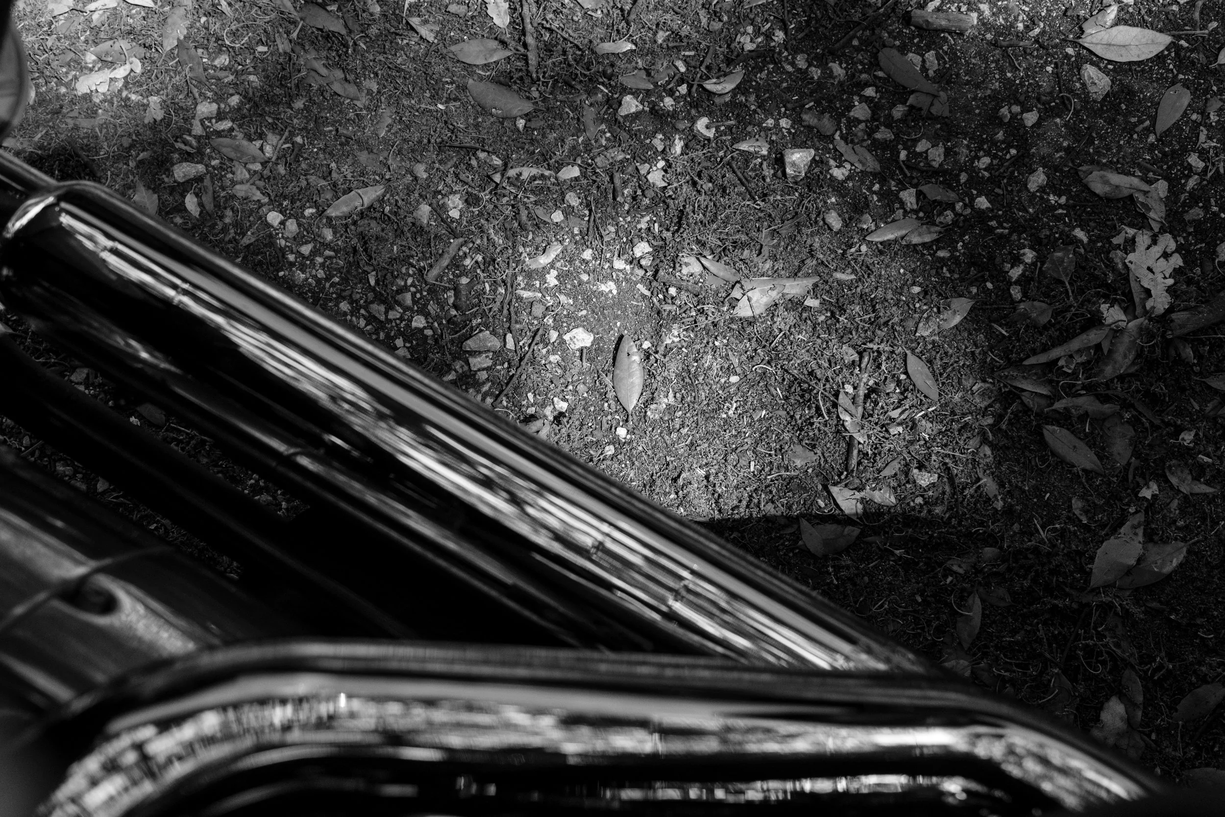 DSCF1670.jpg