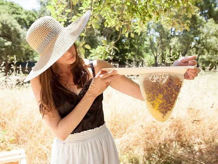 Ep. 14/ Dreaming with bees